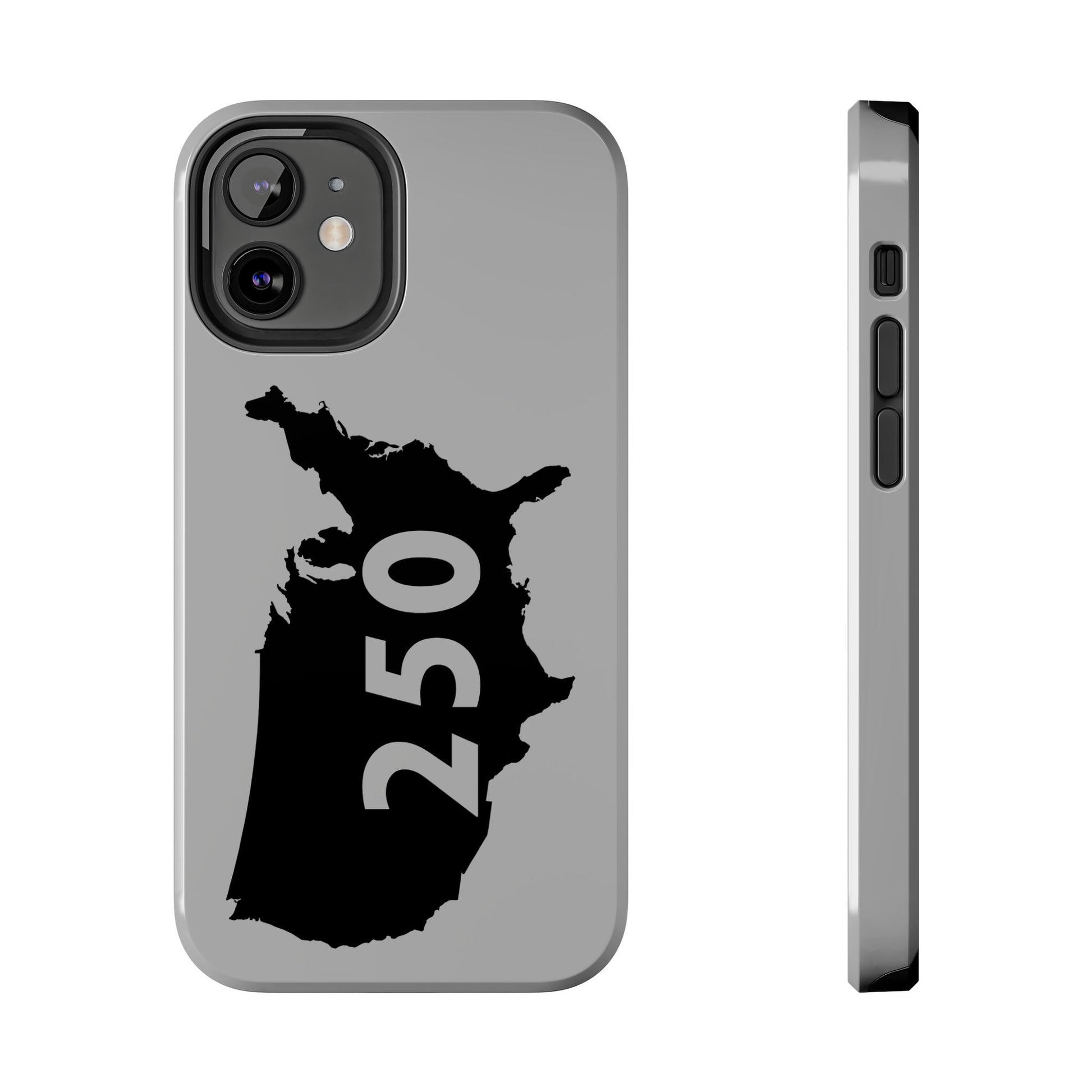 USA 250 Year Patriotic Phone Cases, America Bicentennial Phone Cover, United States Anniversary iPhone Case, 4th of July