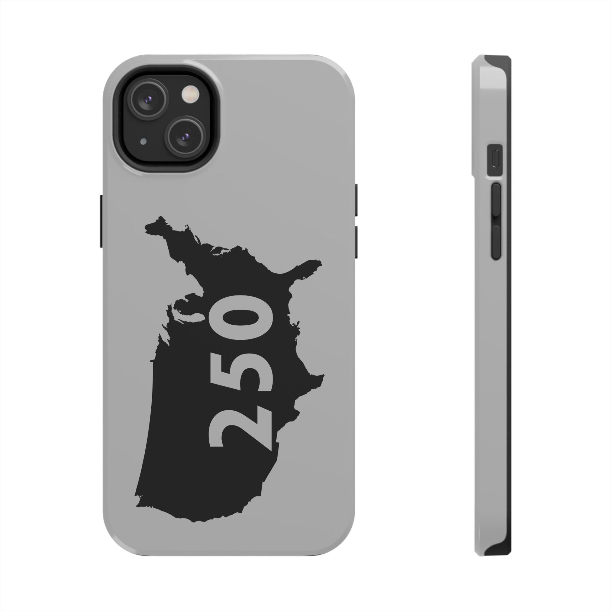 USA 250 Year Patriotic Phone Cases, America Bicentennial Phone Cover, United States Anniversary iPhone Case, 4th of July