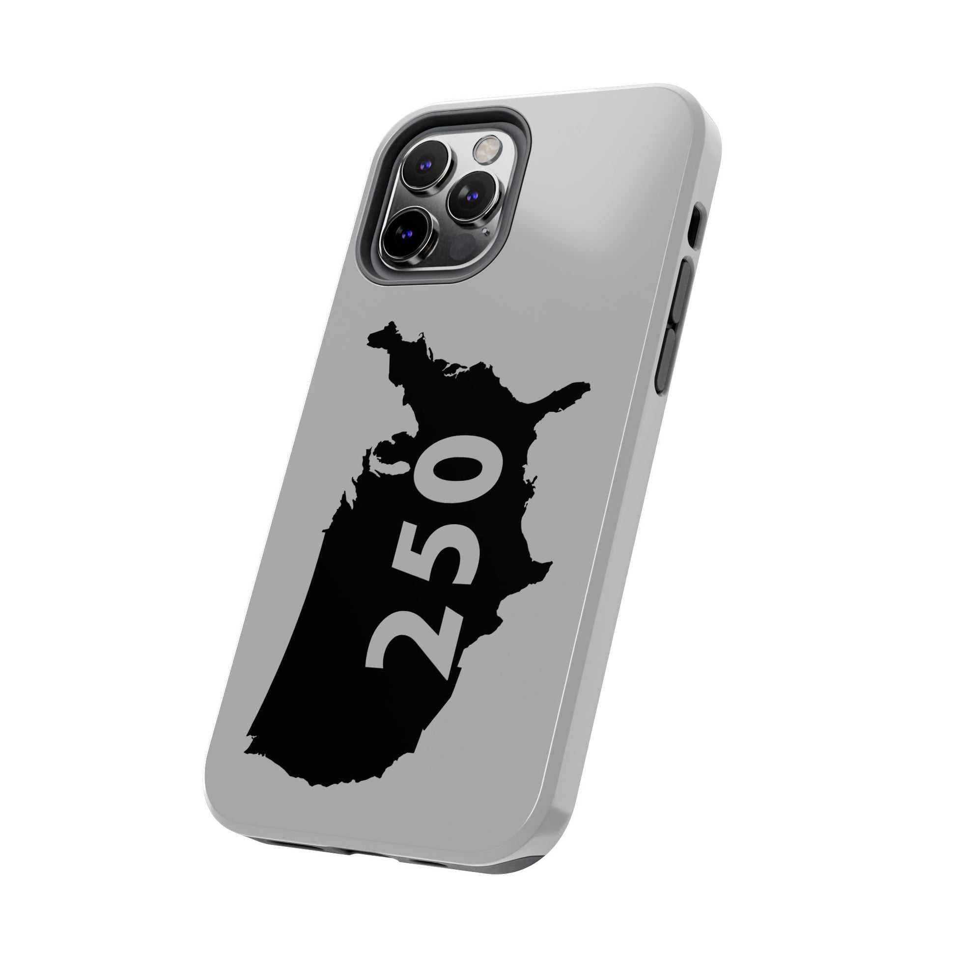 USA 250 Year Patriotic Phone Cases, America Bicentennial Phone Cover, United States Anniversary iPhone Case, 4th of July