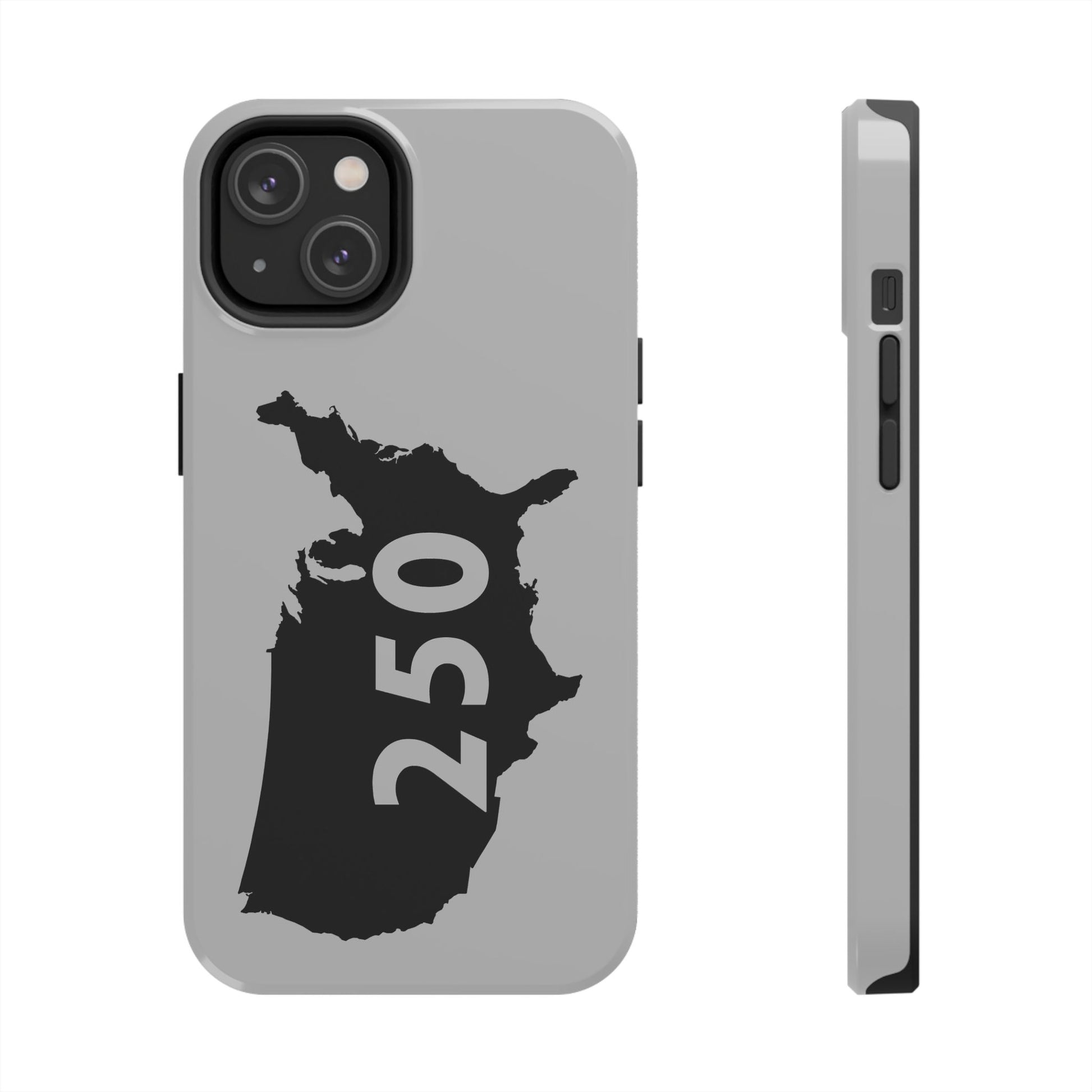 USA 250 Year Patriotic Phone Cases, America Bicentennial Phone Cover, United States Anniversary iPhone Case, 4th of July