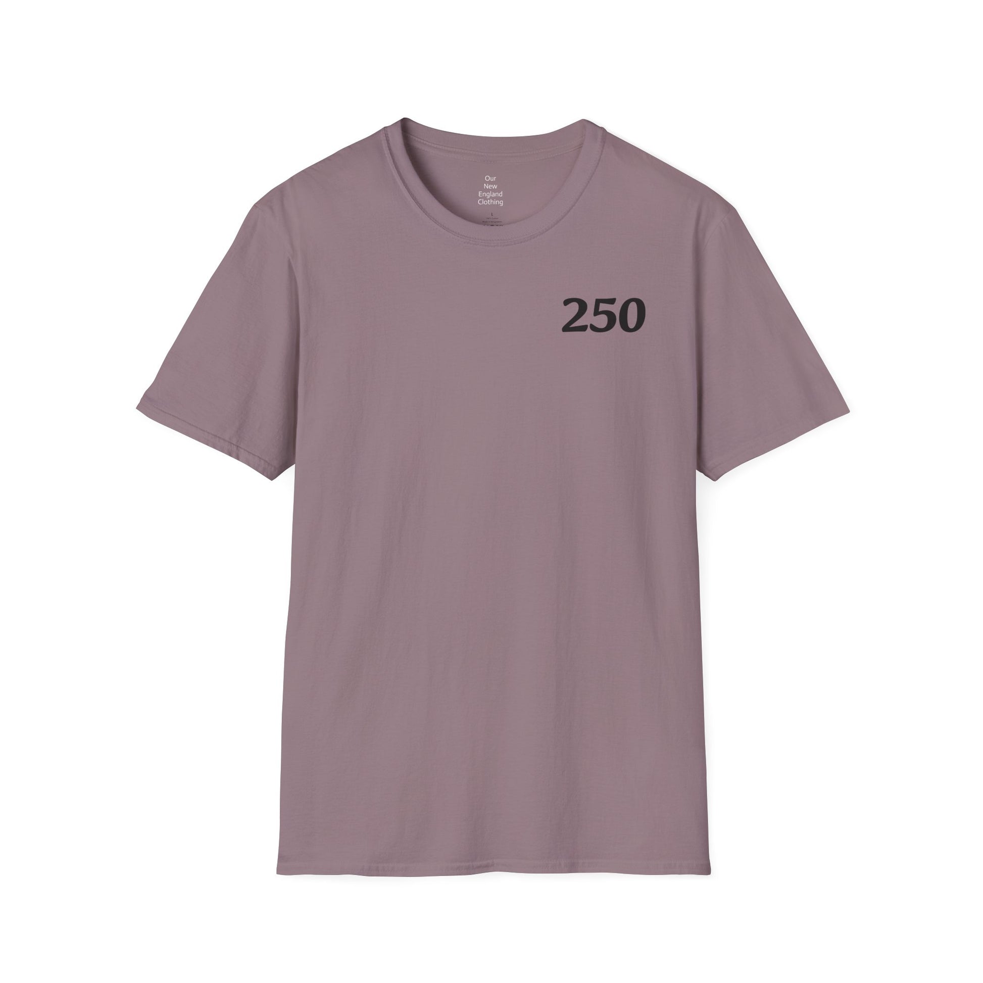 USA 250 Year Celebration Unisex T-Shirt, Patriotic America Anniversary Tee, Independence Day Shirt, US Bicentennial Top, Fourth of July