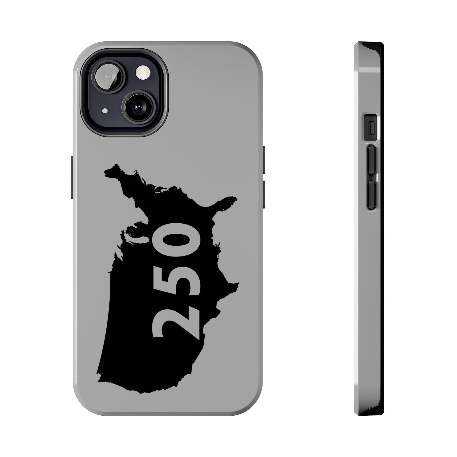 USA 250 Year Patriotic Phone Cases, America Bicentennial Phone Cover, United States Anniversary iPhone Case, 4th of July