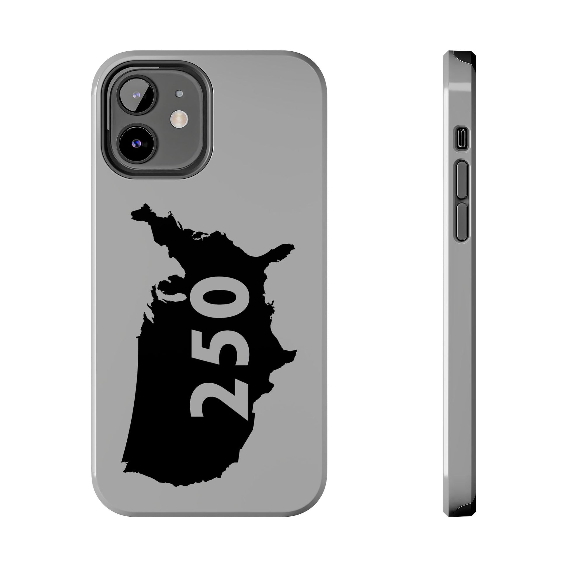 USA 250 Year Patriotic Phone Cases, America Bicentennial Phone Cover, United States Anniversary iPhone Case, 4th of July