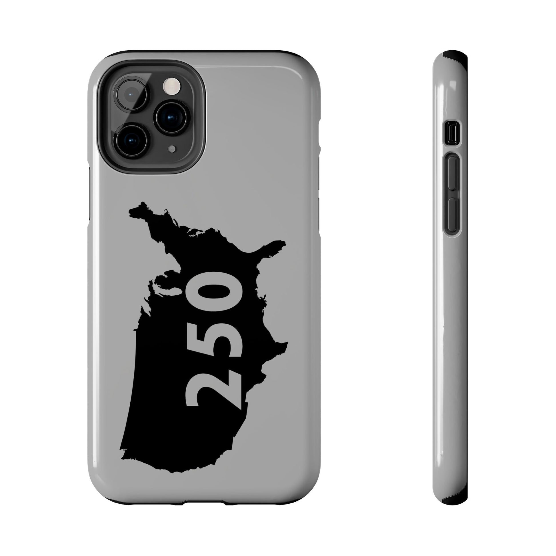 USA 250 Year Patriotic Phone Cases, America Bicentennial Phone Cover, United States Anniversary iPhone Case, 4th of July
