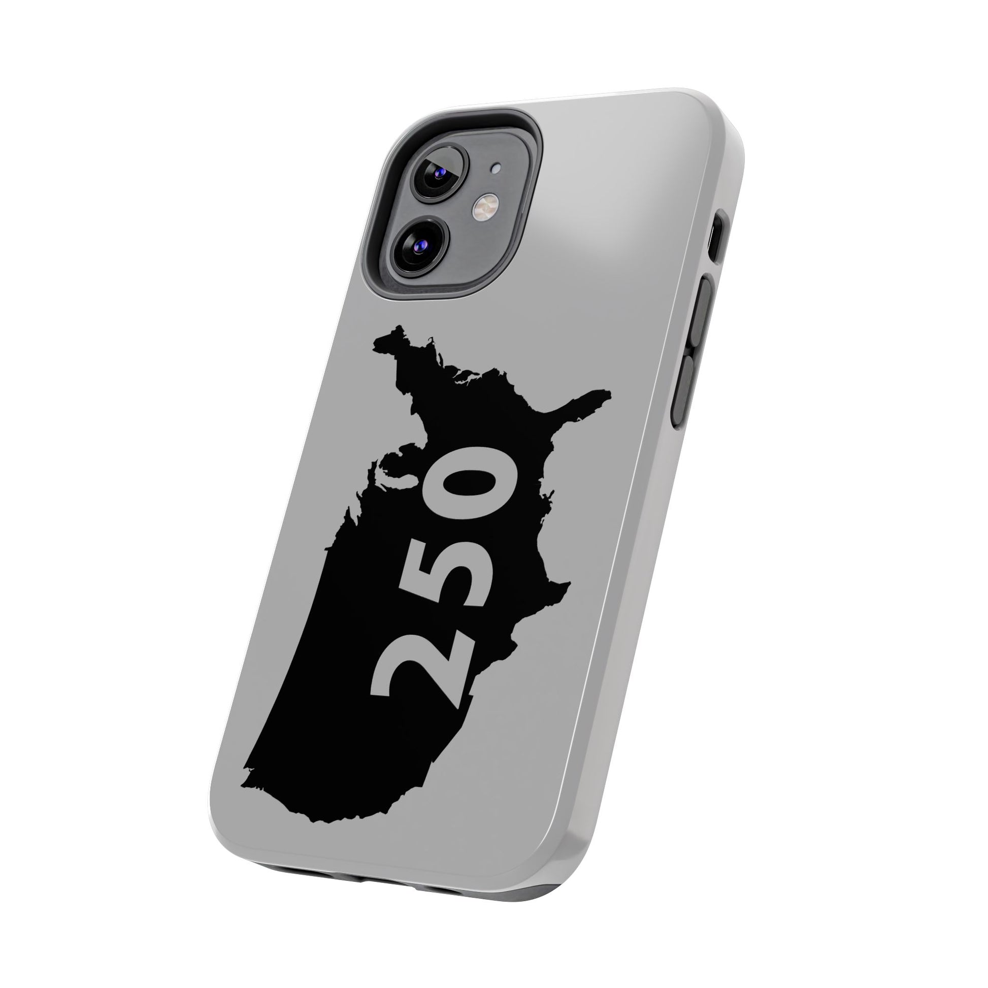 USA 250 Year Patriotic Phone Cases, America Bicentennial Phone Cover, United States Anniversary iPhone Case, 4th of July