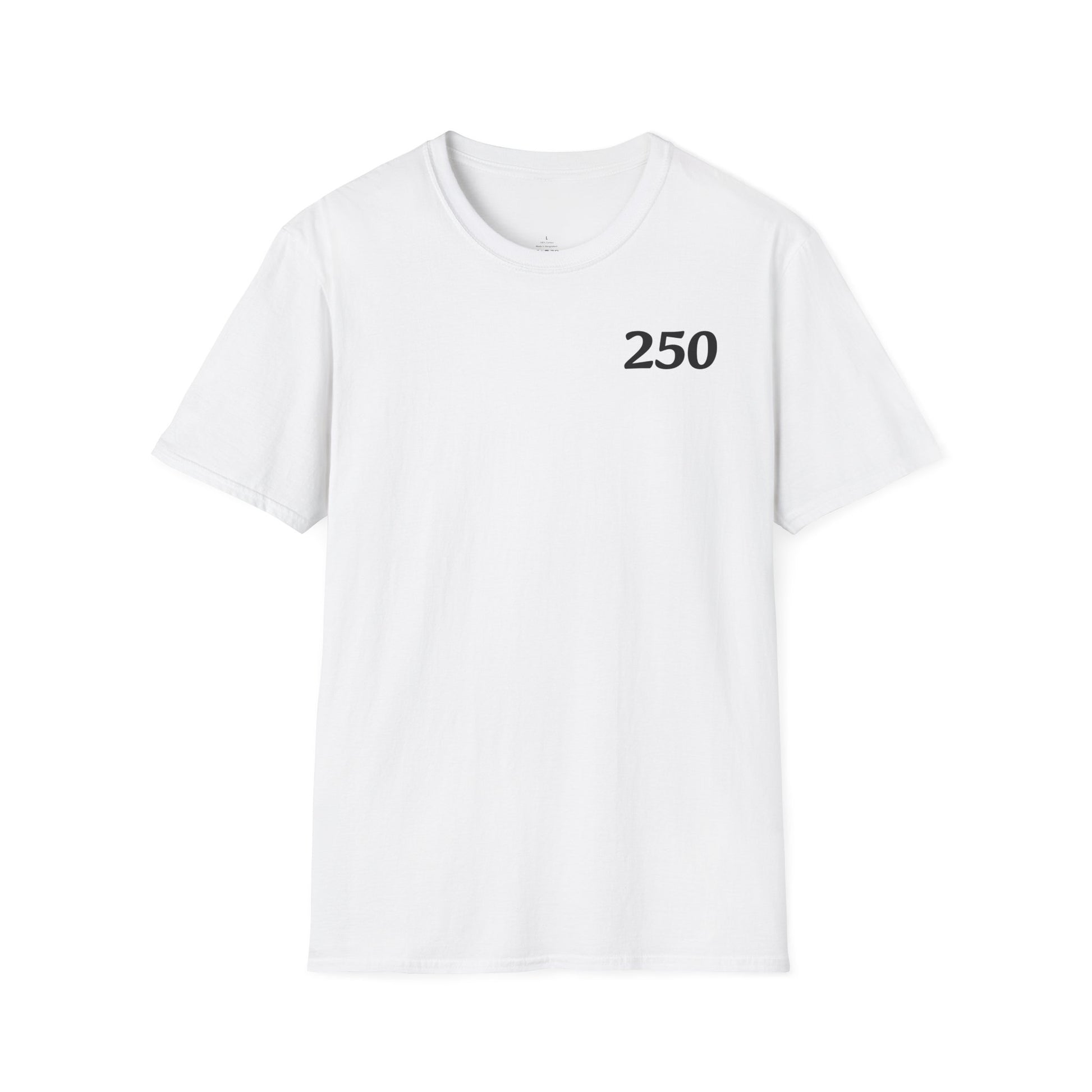 USA 250 Year Celebration Unisex T-Shirt, Patriotic America Anniversary Tee, Independence Day Shirt, US Bicentennial Top, Fourth of July