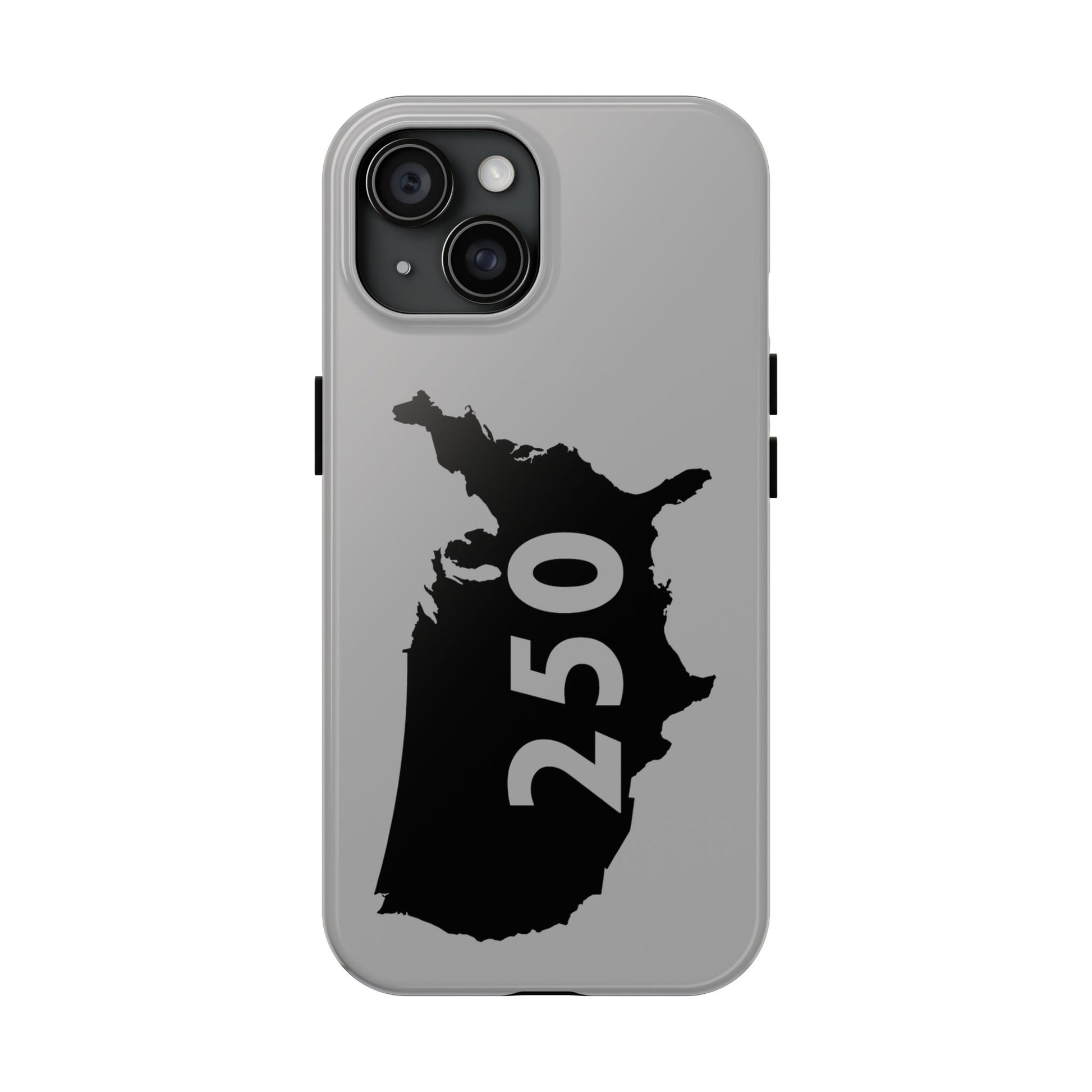 USA 250 Year Patriotic Phone Cases, America Bicentennial Phone Cover, United States Anniversary iPhone Case, 4th of July