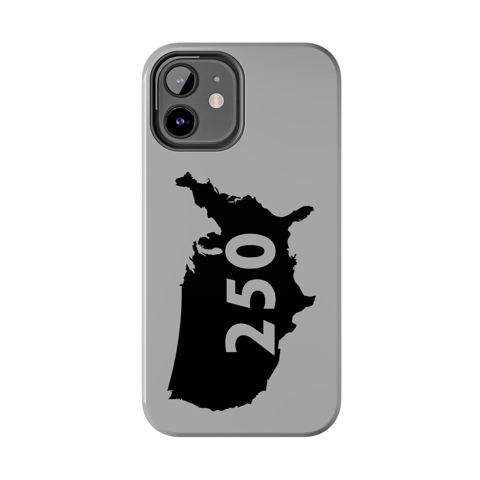 USA 250 Year Patriotic Phone Cases, America Bicentennial Phone Cover, United States Anniversary iPhone Case, 4th of July