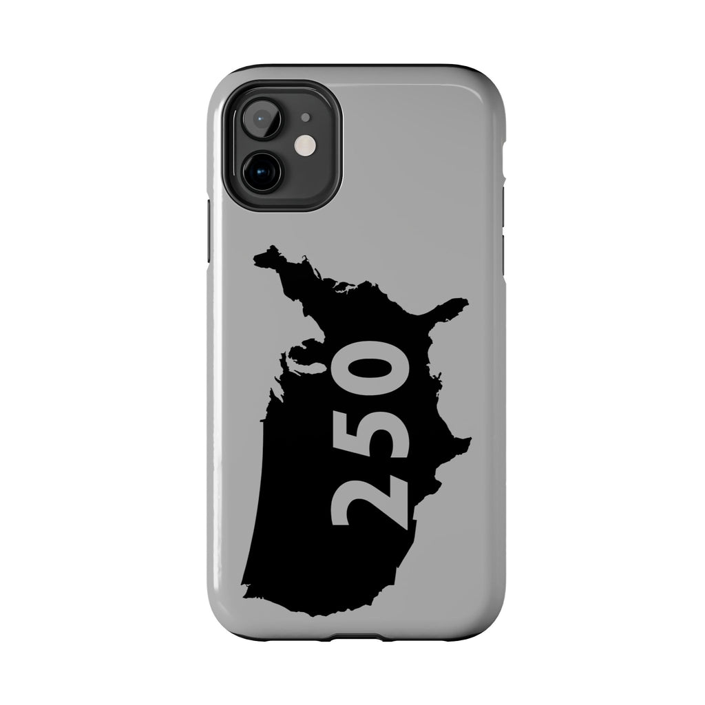 USA 250 Year Patriotic Phone Cases, America Bicentennial Phone Cover, United States Anniversary iPhone Case, 4th of July