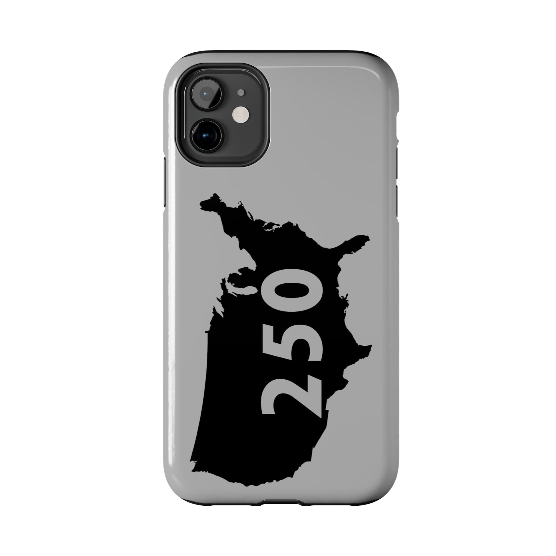 USA 250 Year Patriotic Phone Cases, America Bicentennial Phone Cover, United States Anniversary iPhone Case, 4th of July