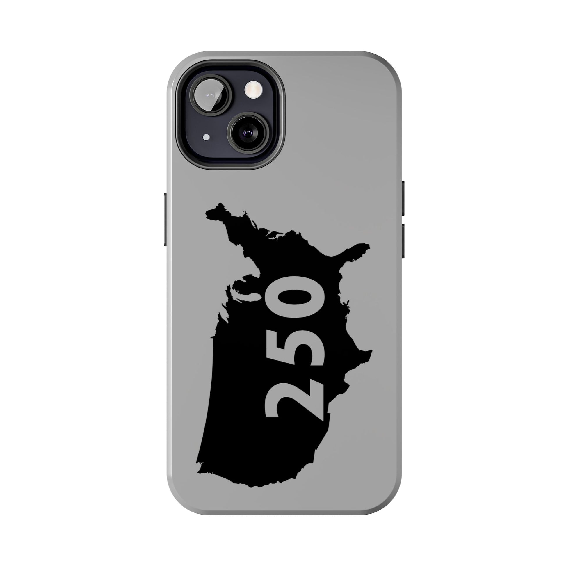 USA 250 Year Patriotic Phone Cases, America Bicentennial Phone Cover, United States Anniversary iPhone Case, 4th of July