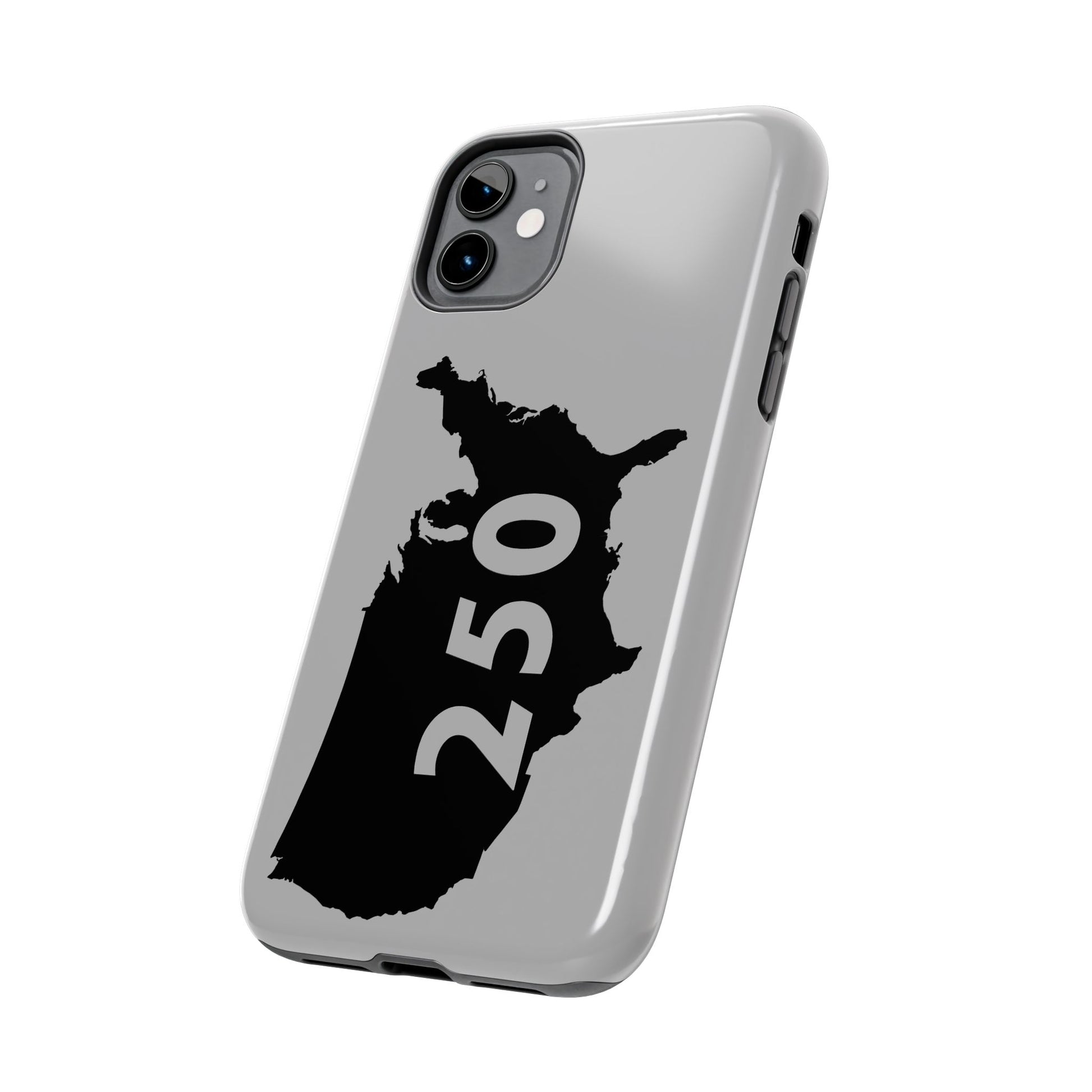 USA 250 Year Patriotic Phone Cases, America Bicentennial Phone Cover, United States Anniversary iPhone Case, 4th of July
