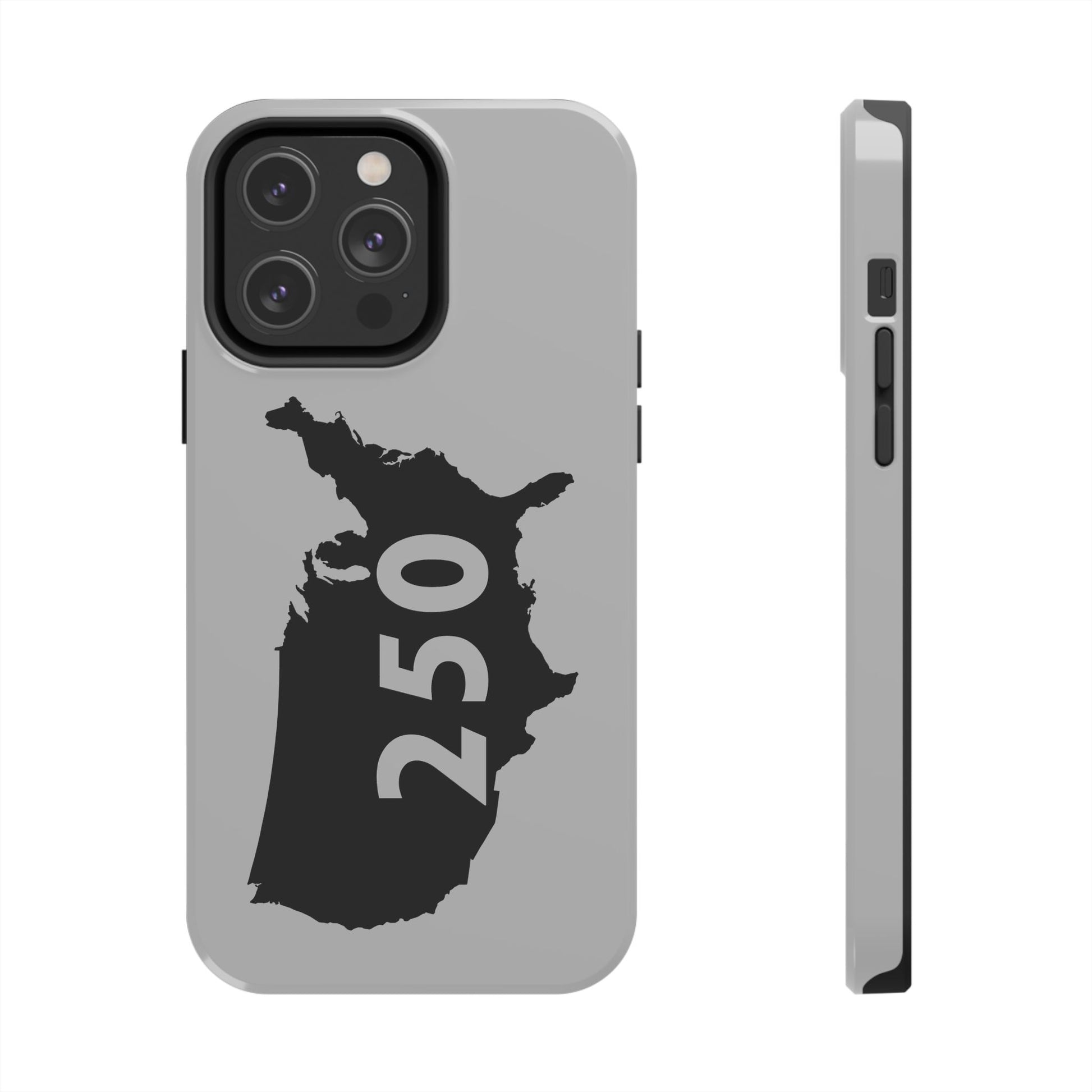 USA 250 Year Patriotic Phone Cases, America Bicentennial Phone Cover, United States Anniversary iPhone Case, 4th of July