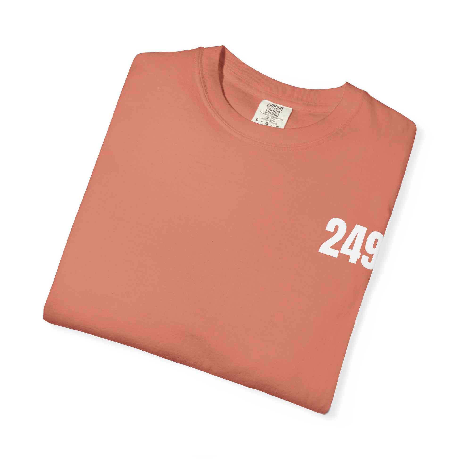 USA 249 Year Unisex Garment-Dyed T-shirt, Patriotic Tee, America Birthday Shirt, Red White Blue, Independence Day Top