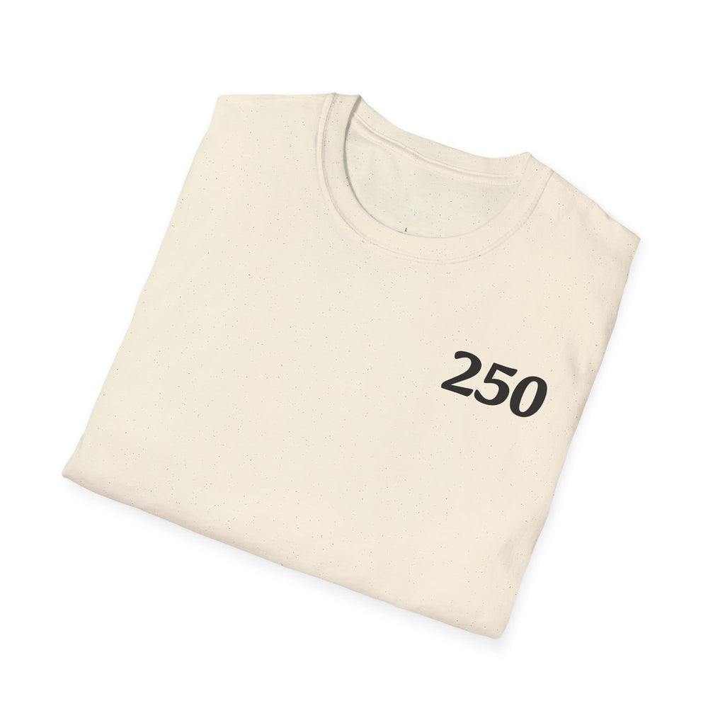 USA 250 Year Celebration Unisex T-Shirt, Patriotic America Anniversary Tee, Independence Day Shirt, US Bicentennial Top, Fourth of July