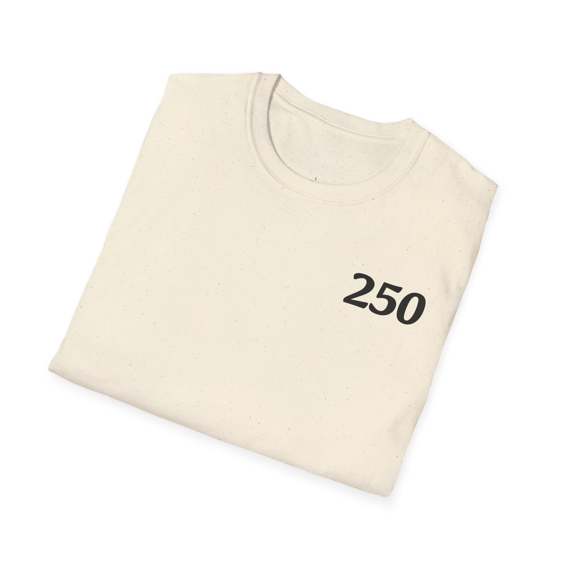 USA 250 Year Celebration Unisex T-Shirt, Patriotic America Anniversary Tee, Independence Day Shirt, US Bicentennial Top, Fourth of July