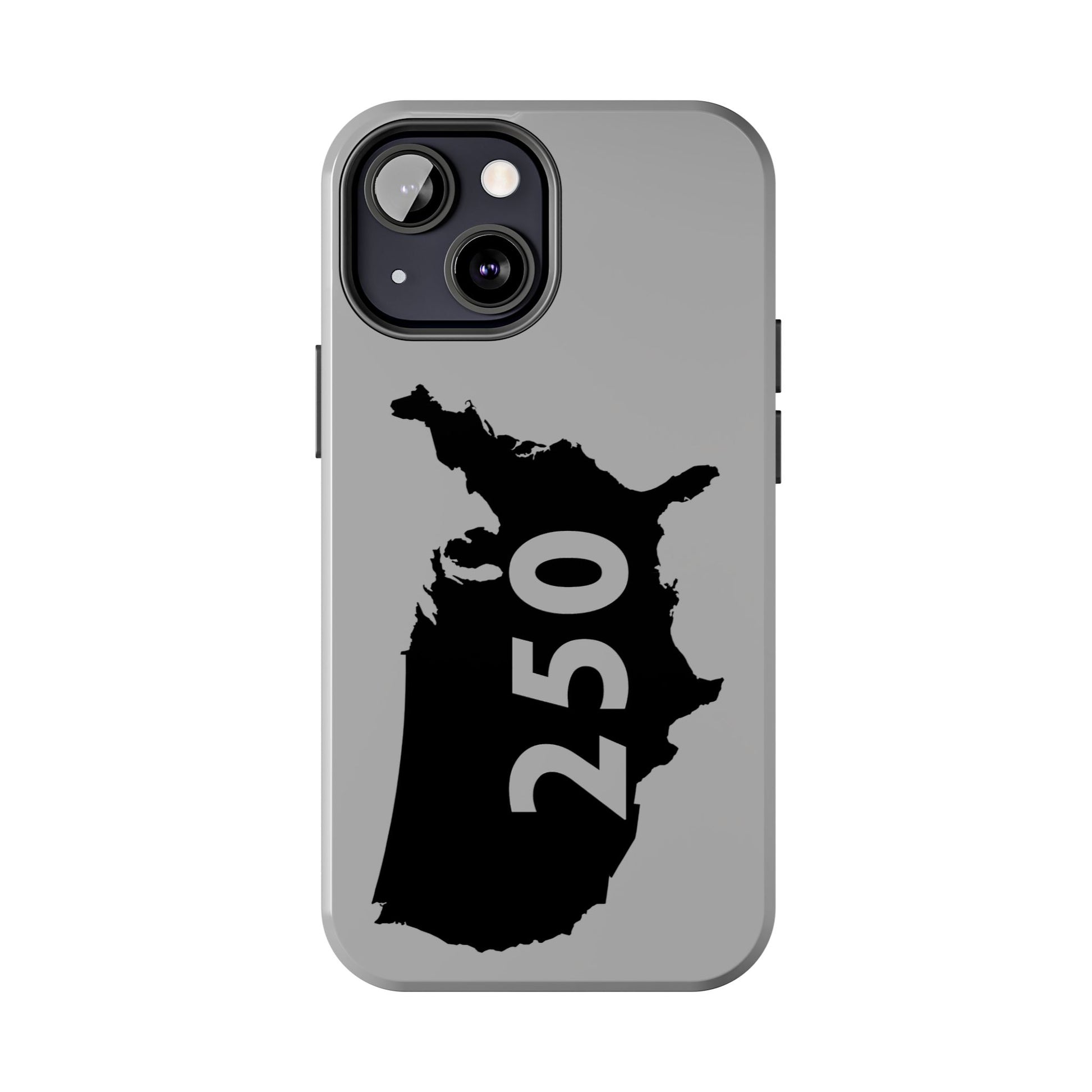 USA 250 Year Patriotic Phone Cases, America Bicentennial Phone Cover, United States Anniversary iPhone Case, 4th of July