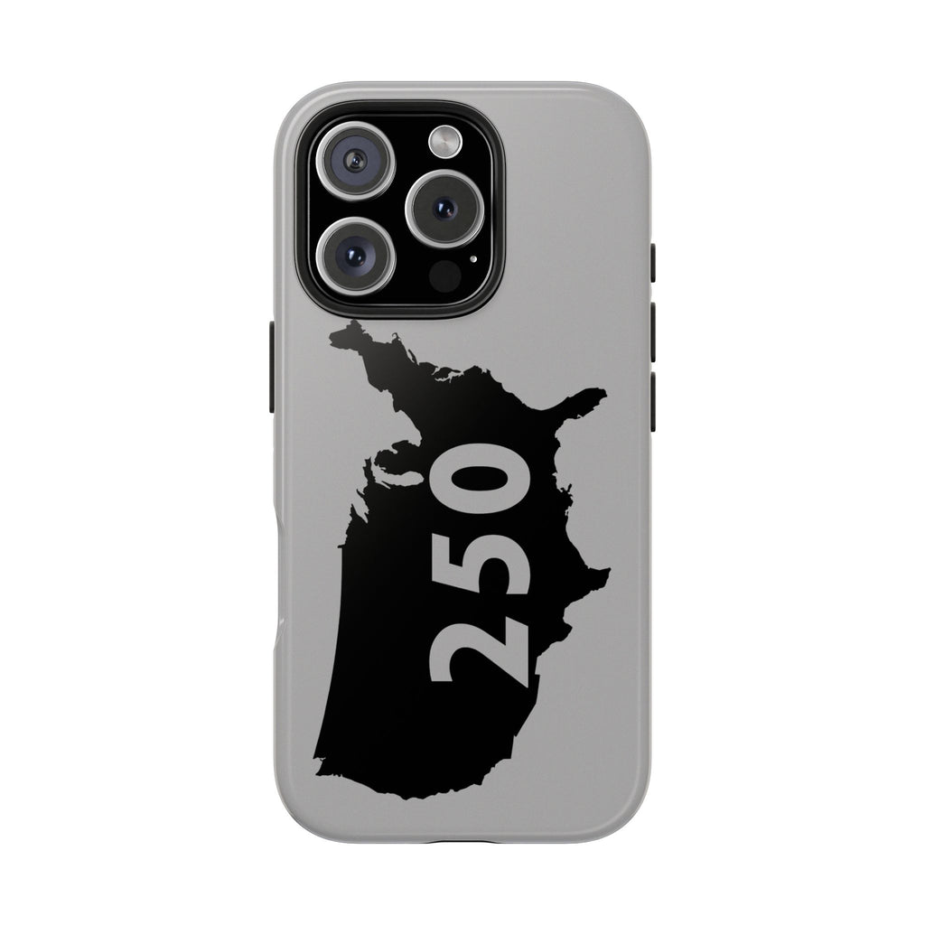 USA 250 Year Patriotic Phone Cases, America Bicentennial Phone Cover, United States Anniversary iPhone Case, 4th of July