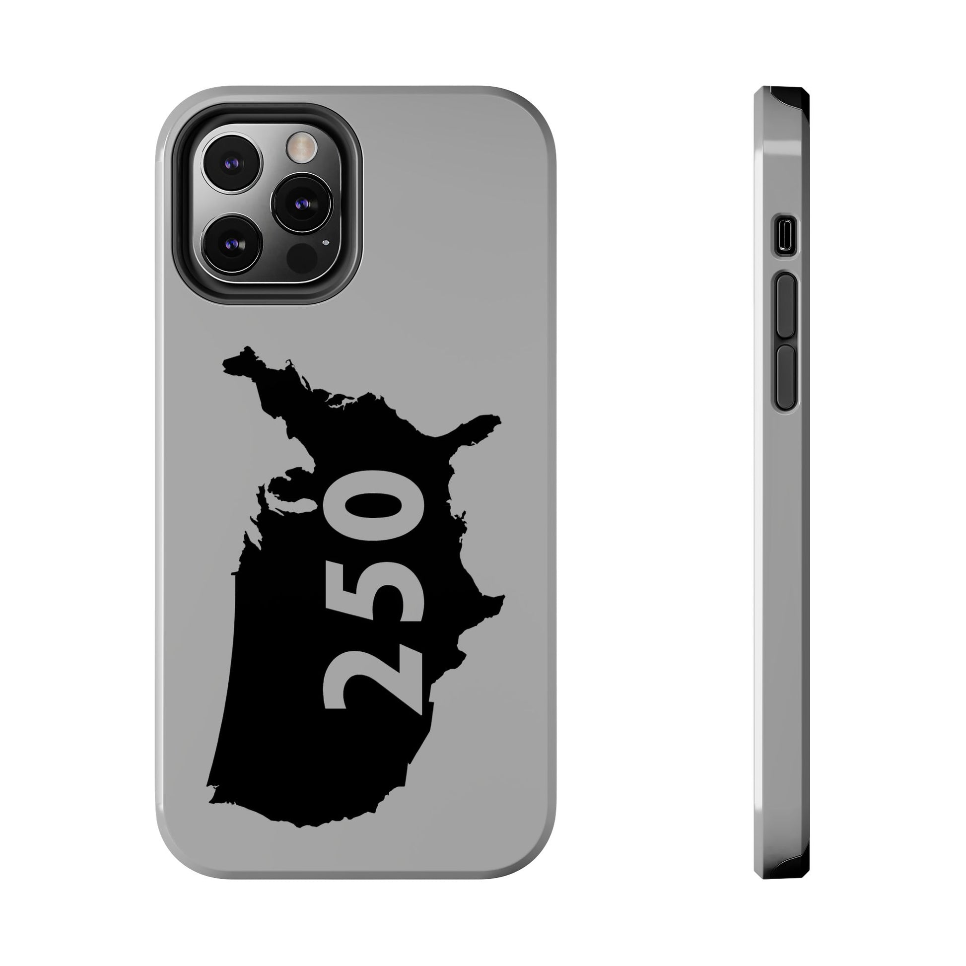 USA 250 Year Patriotic Phone Cases, America Bicentennial Phone Cover, United States Anniversary iPhone Case, 4th of July