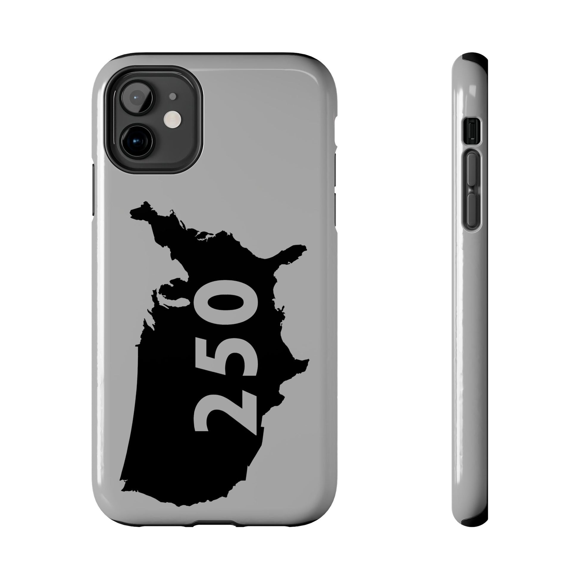 USA 250 Year Patriotic Phone Cases, America Bicentennial Phone Cover, United States Anniversary iPhone Case, 4th of July