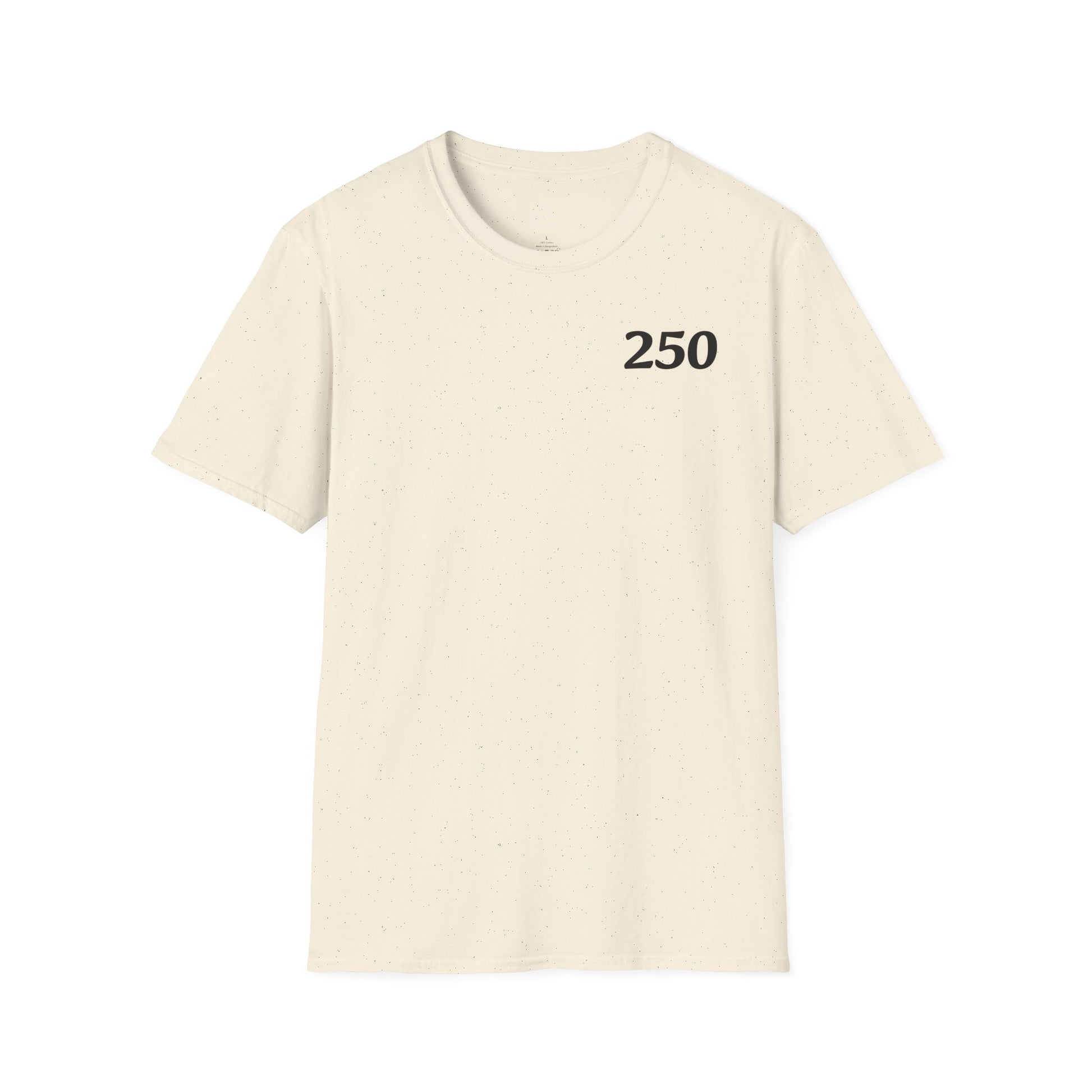 USA 250 Year Celebration Unisex T-Shirt, Patriotic America Anniversary Tee, Independence Day Shirt, US Bicentennial Top, Fourth of July