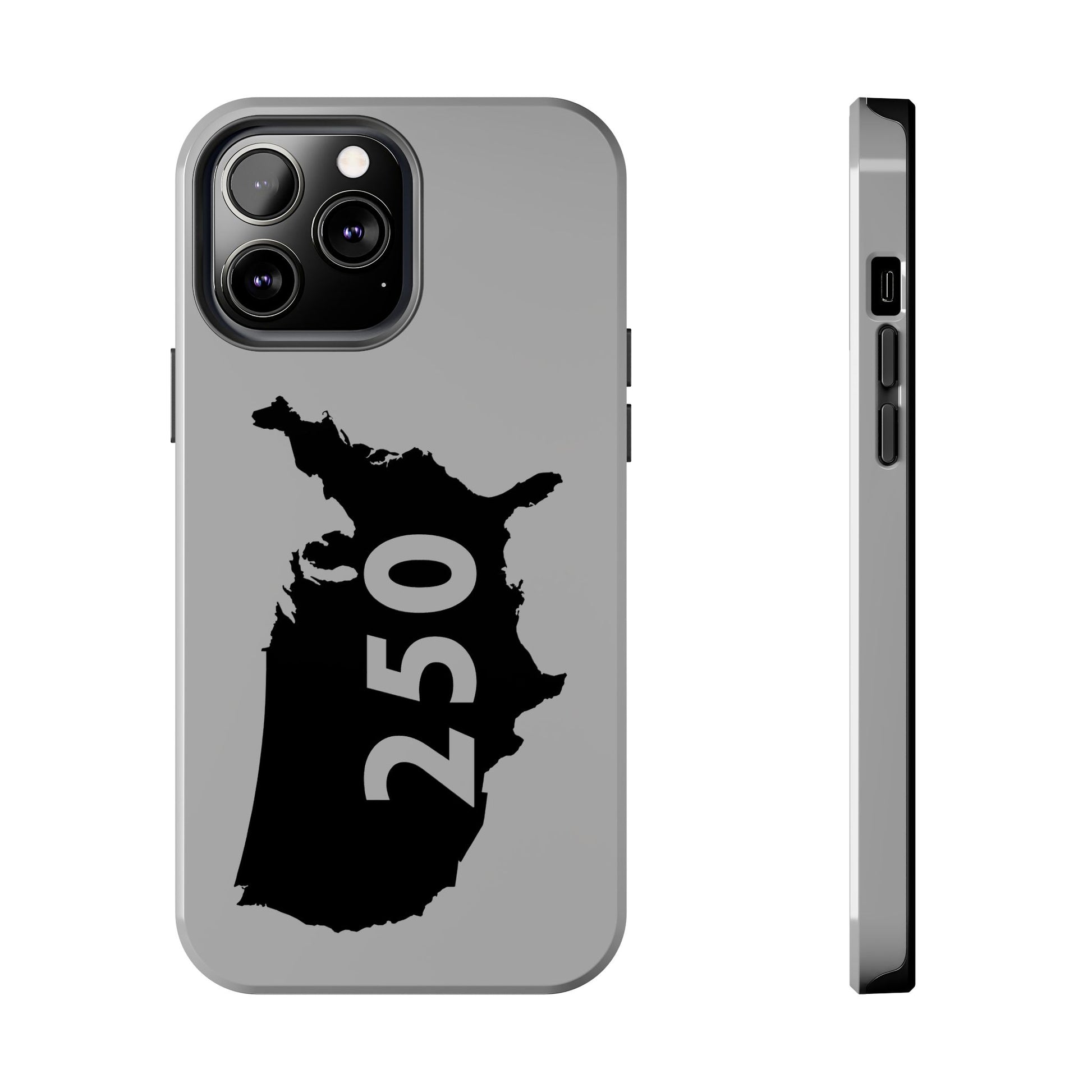USA 250 Year Patriotic Phone Cases, America Bicentennial Phone Cover, United States Anniversary iPhone Case, 4th of July