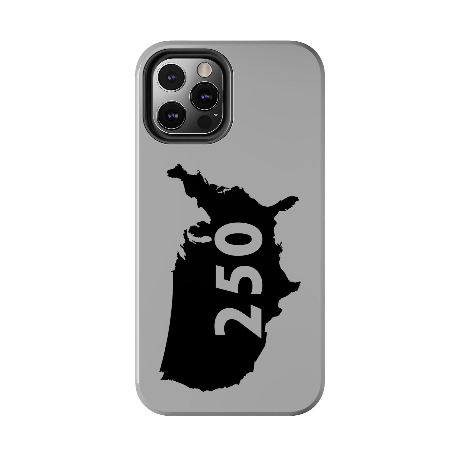 USA 250 Year Patriotic Phone Cases, America Bicentennial Phone Cover, United States Anniversary iPhone Case, 4th of July