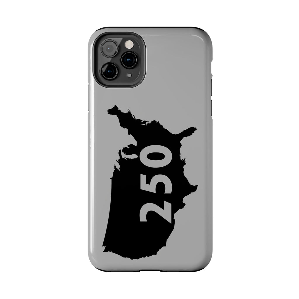 USA 250 Year Patriotic Phone Cases, America Bicentennial Phone Cover, United States Anniversary iPhone Case, 4th of July