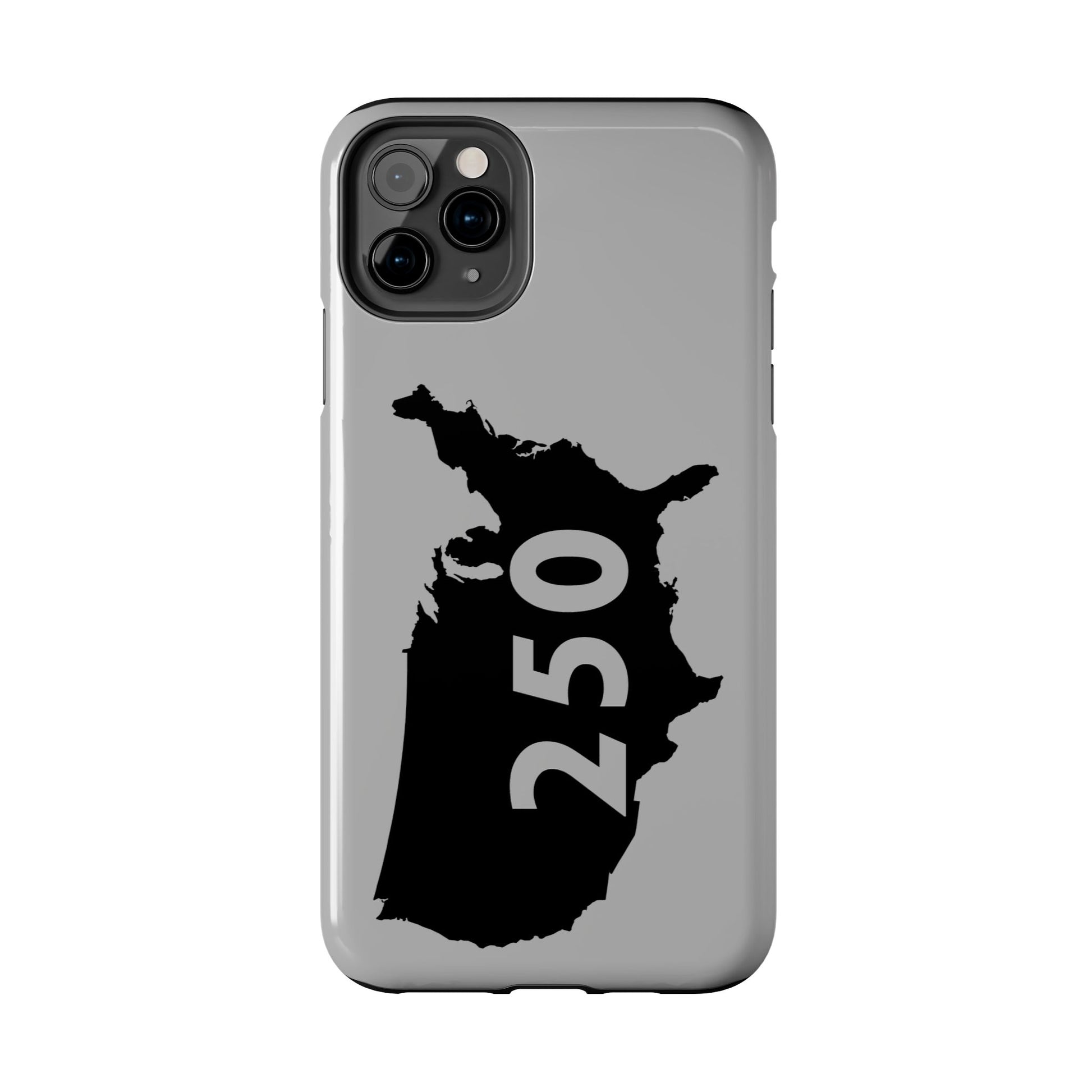 USA 250 Year Patriotic Phone Cases, America Bicentennial Phone Cover, United States Anniversary iPhone Case, 4th of July