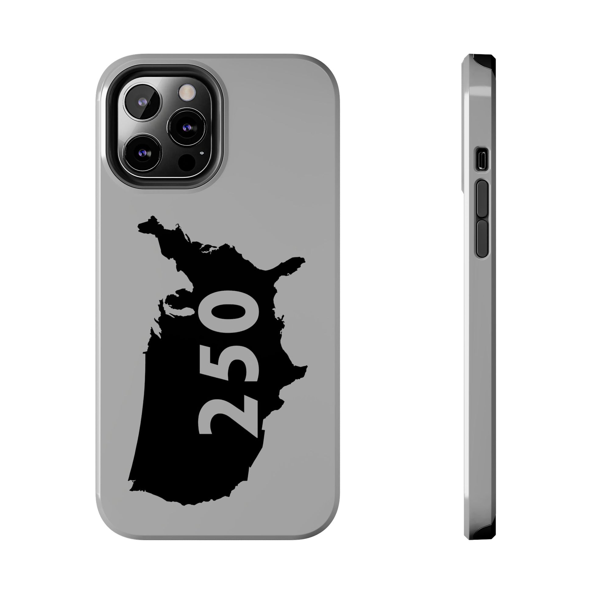 USA 250 Year Patriotic Phone Cases, America Bicentennial Phone Cover, United States Anniversary iPhone Case, 4th of July