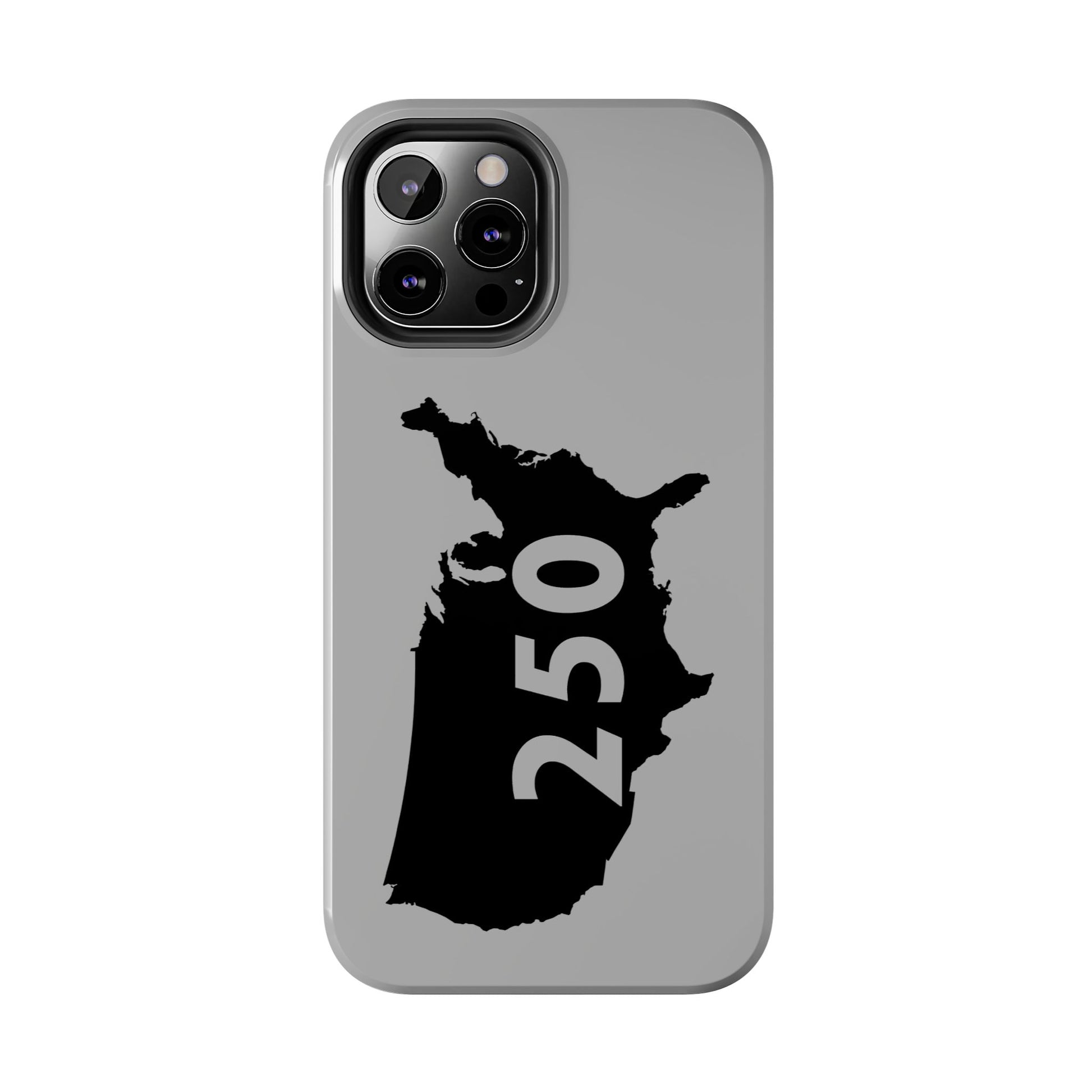 USA 250 Year Patriotic Phone Cases, America Bicentennial Phone Cover, United States Anniversary iPhone Case, 4th of July