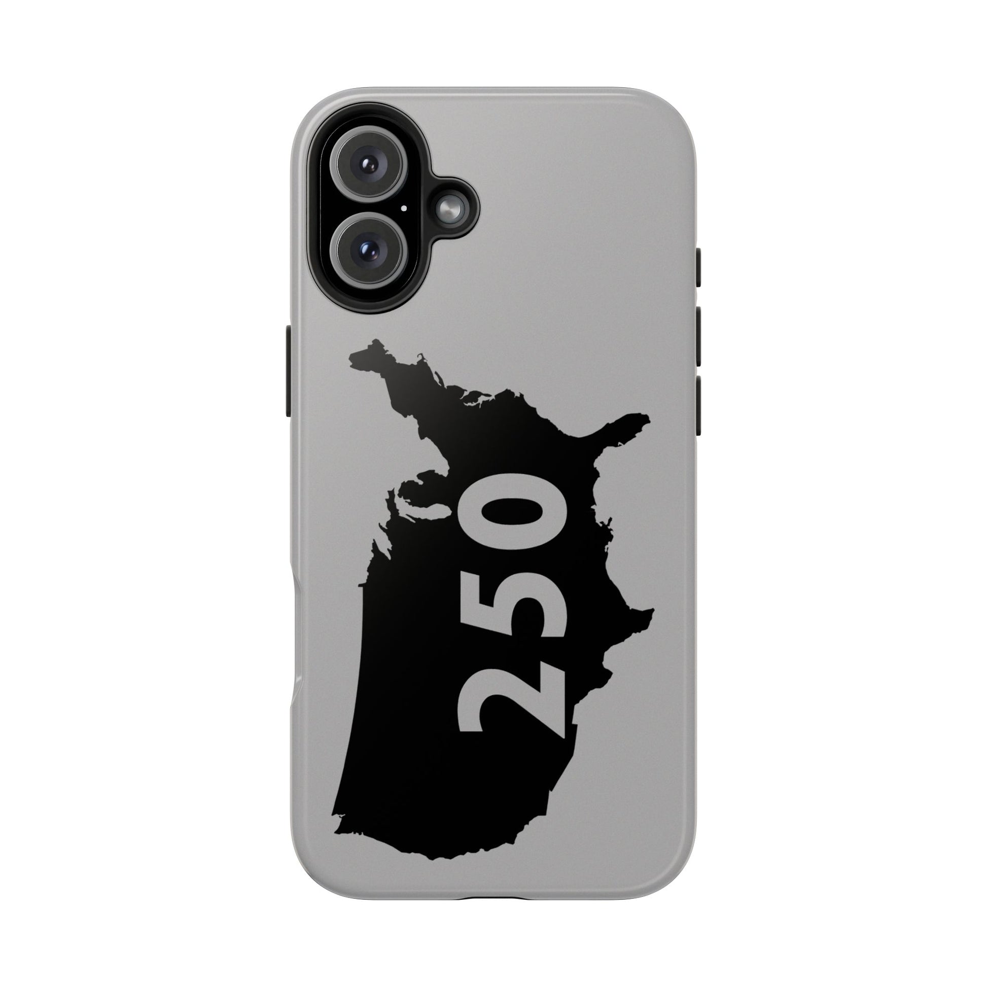 USA 250 Year Patriotic Phone Cases, America Bicentennial Phone Cover, United States Anniversary iPhone Case, 4th of July