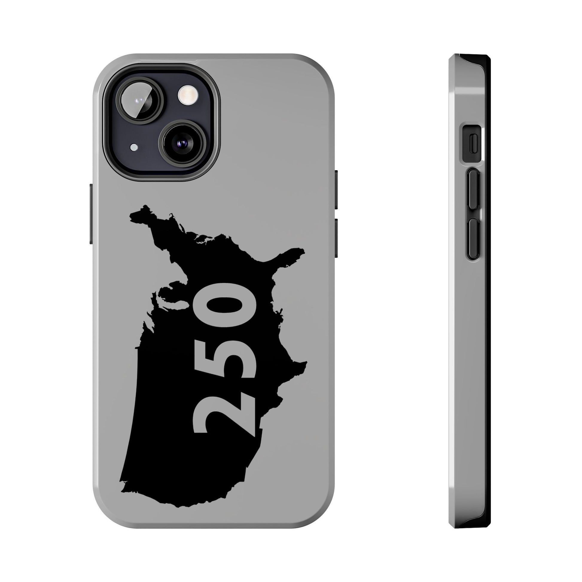 USA 250 Year Patriotic Phone Cases, America Bicentennial Phone Cover, United States Anniversary iPhone Case, 4th of July