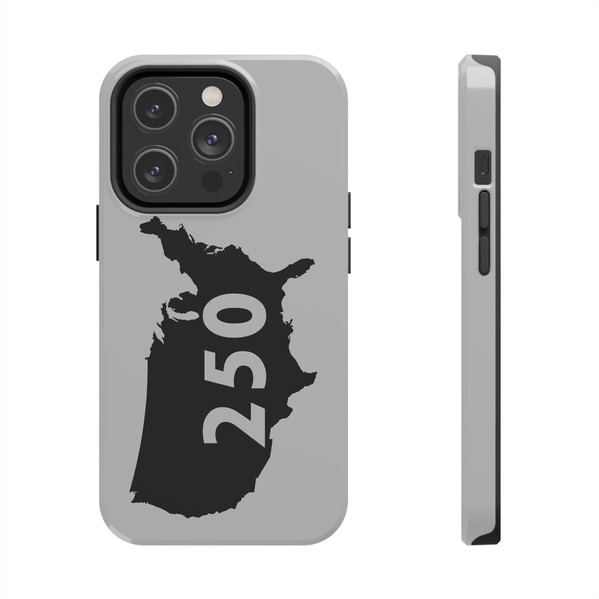 USA 250 Year Patriotic Phone Cases, America Bicentennial Phone Cover, United States Anniversary iPhone Case, 4th of July