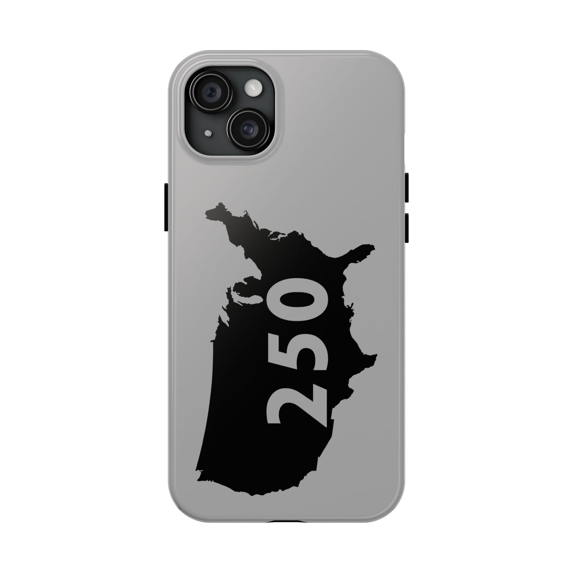 USA 250 Year Patriotic Phone Cases, America Bicentennial Phone Cover, United States Anniversary iPhone Case, 4th of July