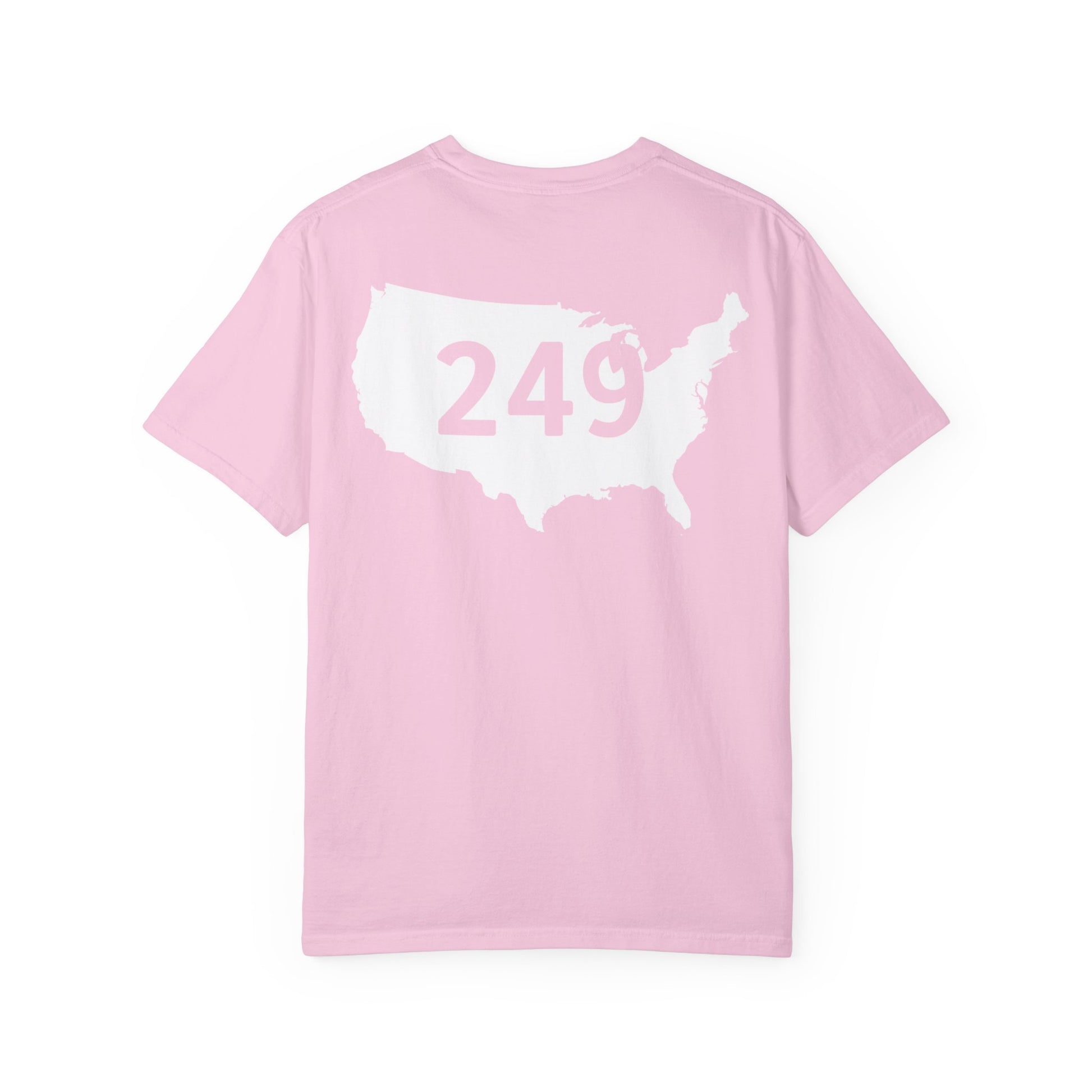 USA 249 Year Unisex Garment-Dyed T-shirt, Patriotic Tee, America Birthday Shirt, Red White Blue, Independence Day Top