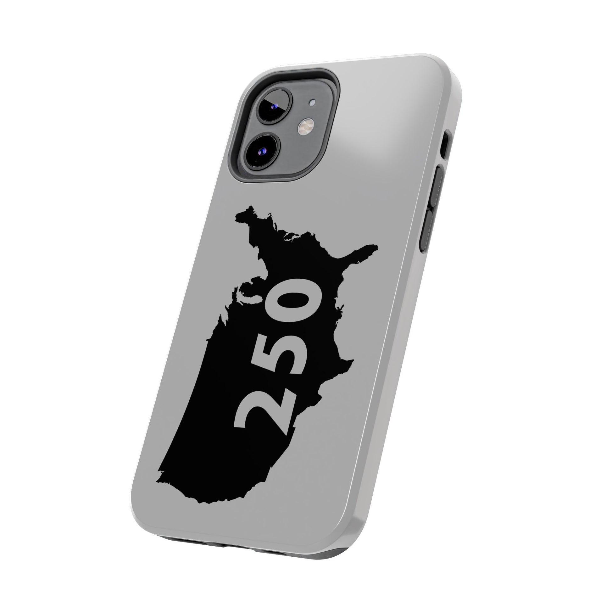 USA 250 Year Patriotic Phone Cases, America Bicentennial Phone Cover, United States Anniversary iPhone Case, 4th of July