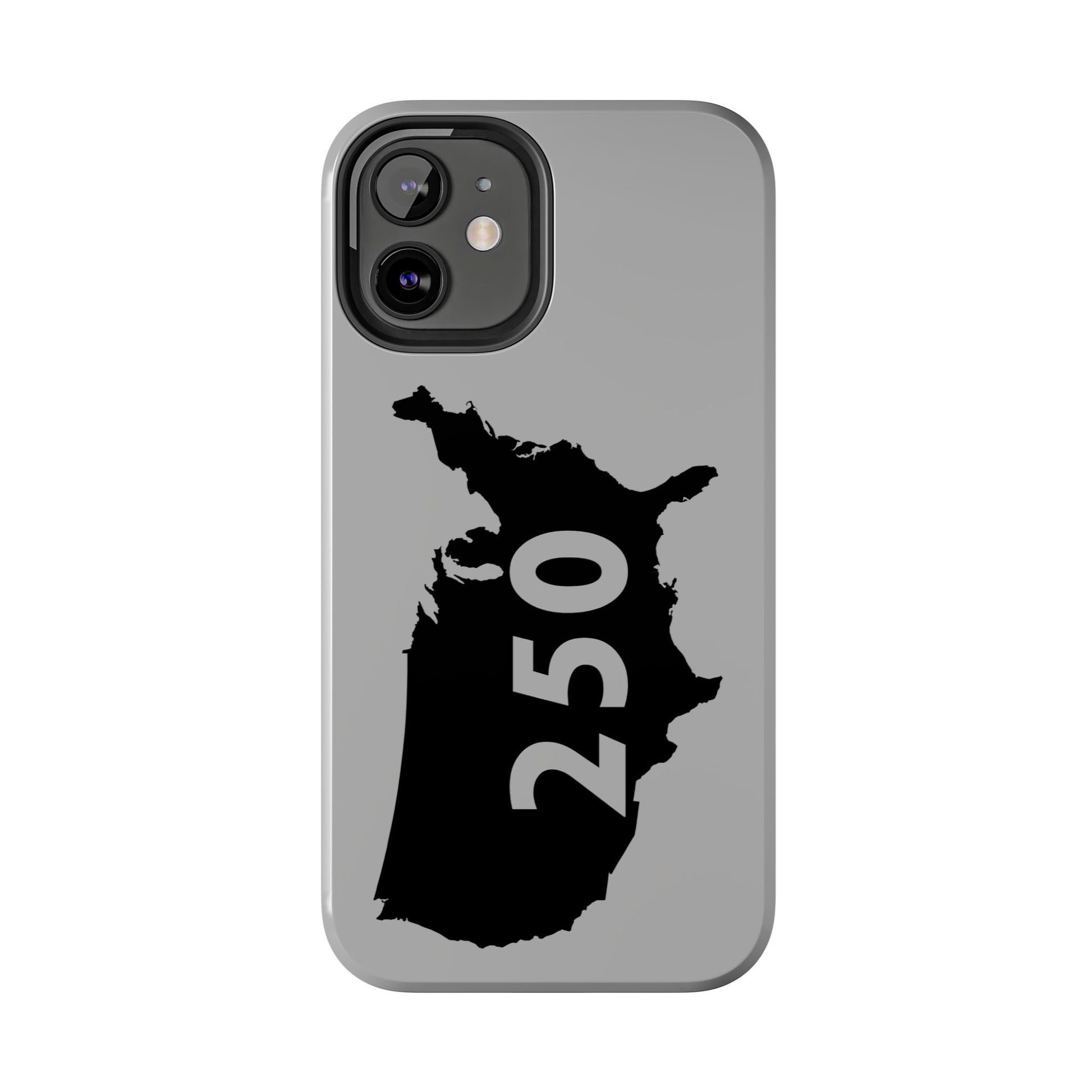 USA 250 Year Patriotic Phone Cases, America Bicentennial Phone Cover, United States Anniversary iPhone Case, 4th of July