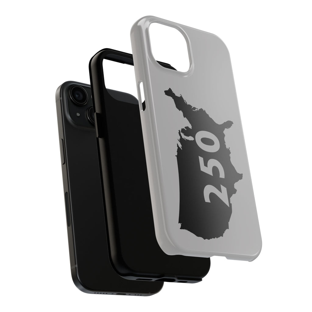 USA 250 Year Patriotic Phone Cases, America Bicentennial Phone Cover, United States Anniversary iPhone Case, 4th of July