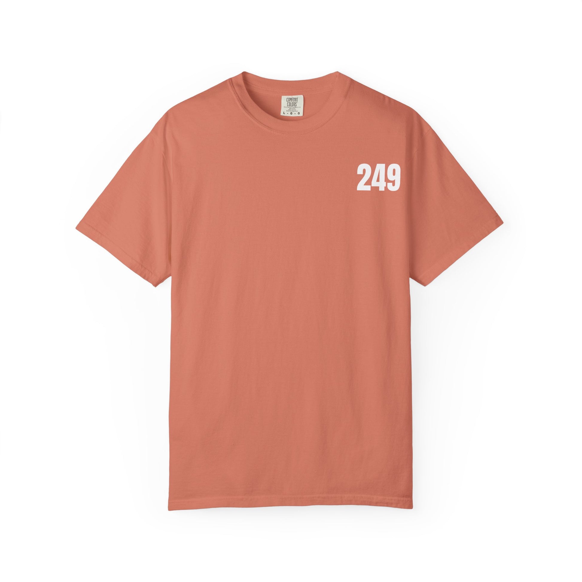 USA 249 Year Unisex Garment-Dyed T-shirt, Patriotic Tee, America Birthday Shirt, Red White Blue, Independence Day Top