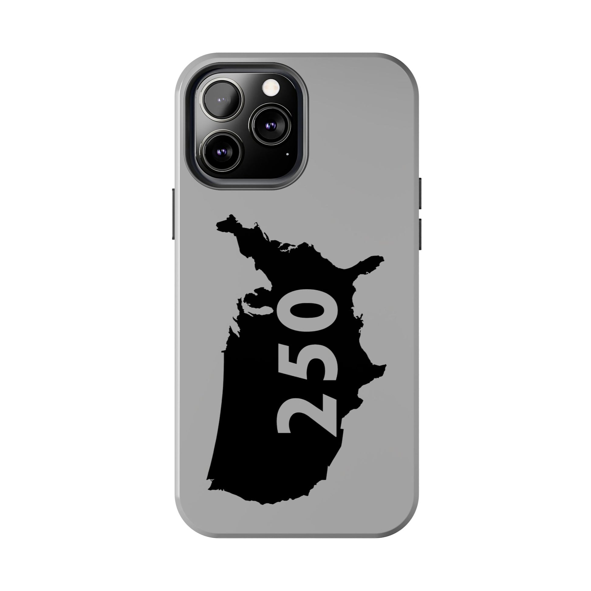 USA 250 Year Patriotic Phone Cases, America Bicentennial Phone Cover, United States Anniversary iPhone Case, 4th of July