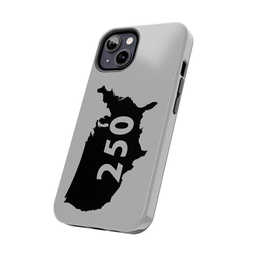 USA 250 Year Patriotic Phone Cases, America Bicentennial Phone Cover, United States Anniversary iPhone Case, 4th of July