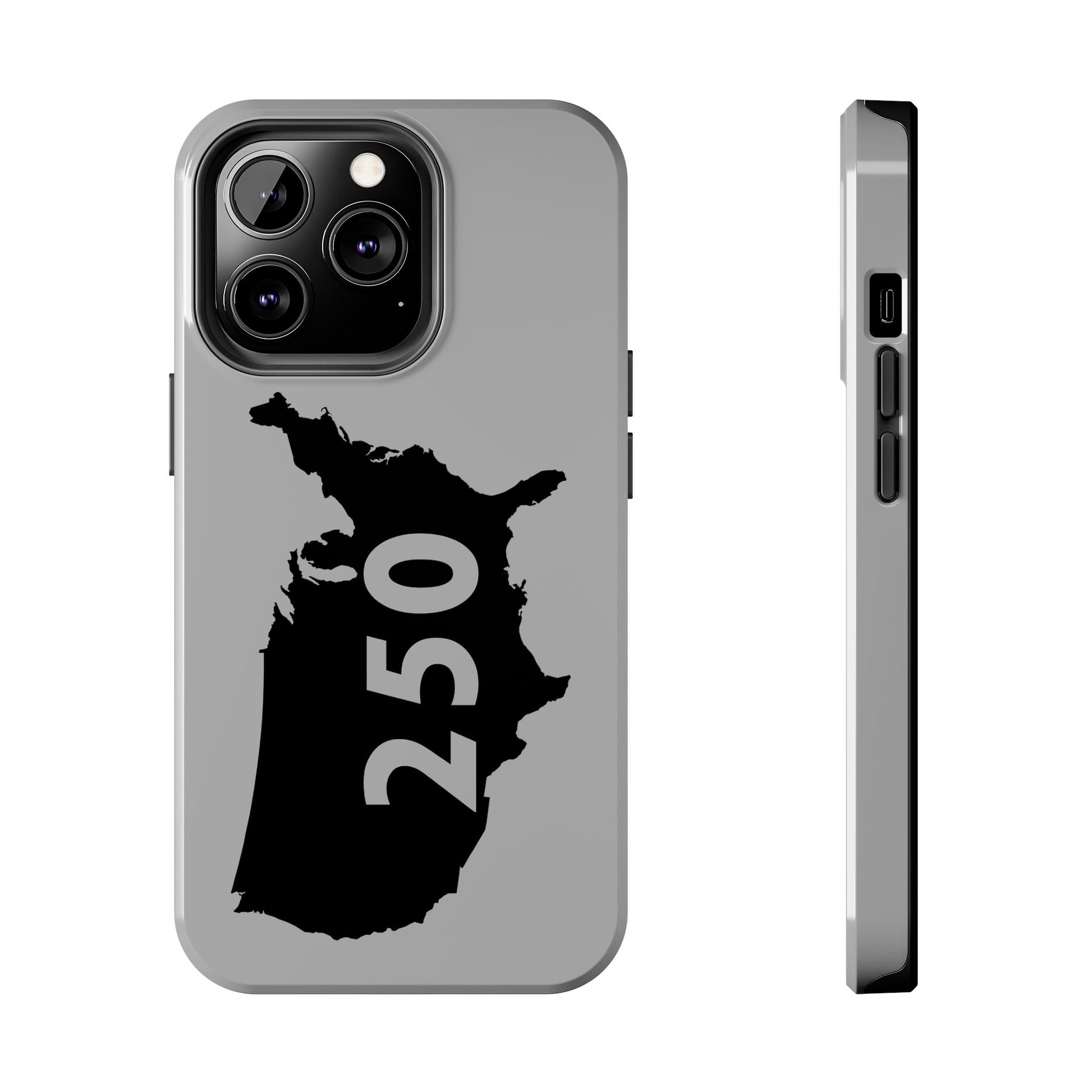 USA 250 Year Patriotic Phone Cases, America Bicentennial Phone Cover, United States Anniversary iPhone Case, 4th of July