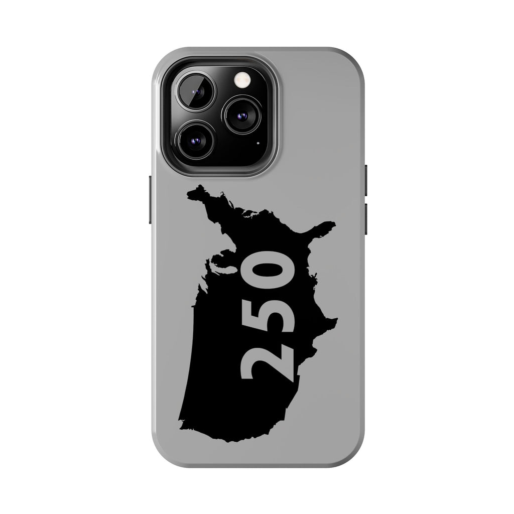 USA 250 Year Patriotic Phone Cases, America Bicentennial Phone Cover, United States Anniversary iPhone Case, 4th of July