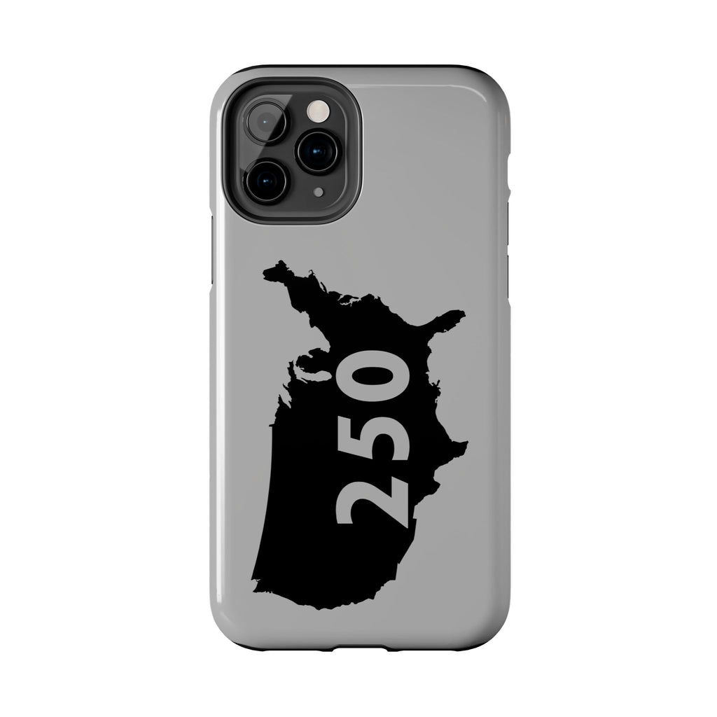 USA 250 Year Patriotic Phone Cases, America Bicentennial Phone Cover, United States Anniversary iPhone Case, 4th of July