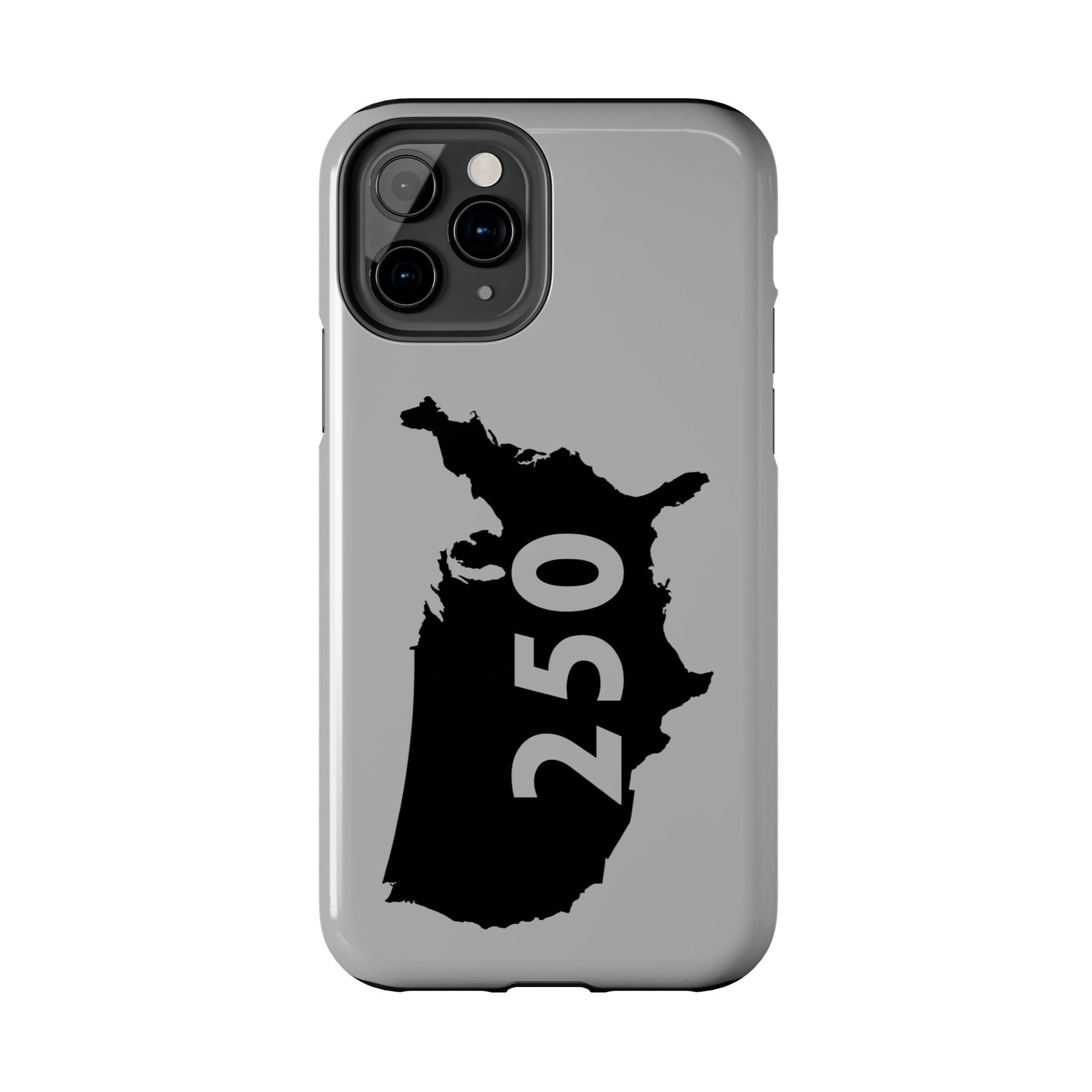 USA 250 Year Patriotic Phone Cases, America Bicentennial Phone Cover, United States Anniversary iPhone Case, 4th of July