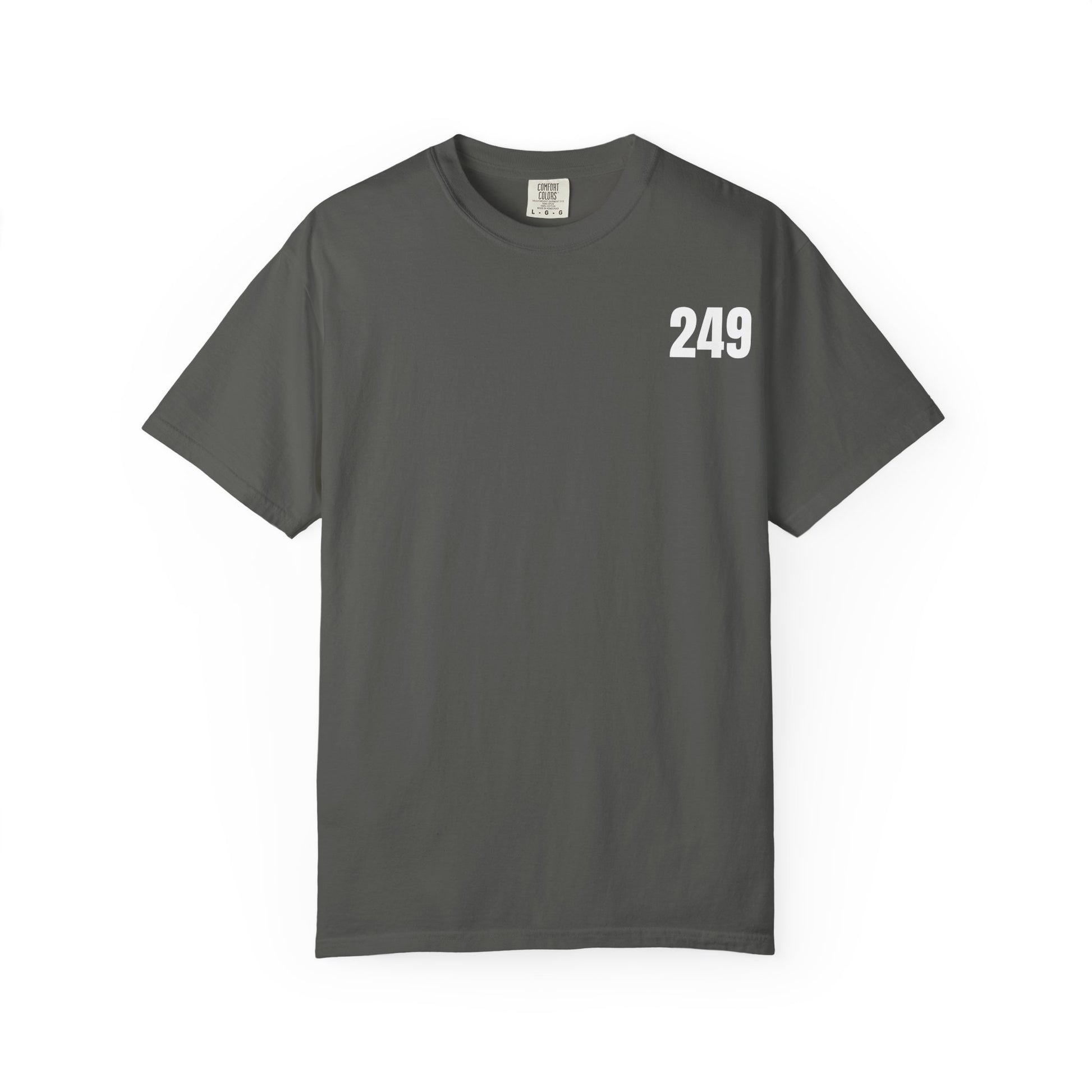 USA 249 Year Unisex Garment-Dyed T-shirt, Patriotic Tee, America Birthday Shirt, Red White Blue, Independence Day Top