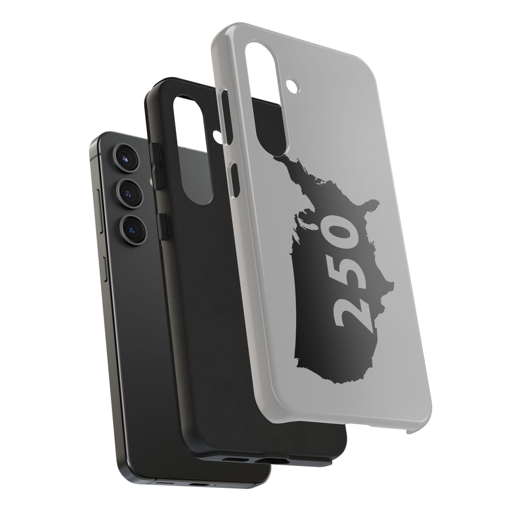 USA 250 Year Patriotic Phone Cases, America Bicentennial Phone Cover, United States Anniversary iPhone Case, 4th of July