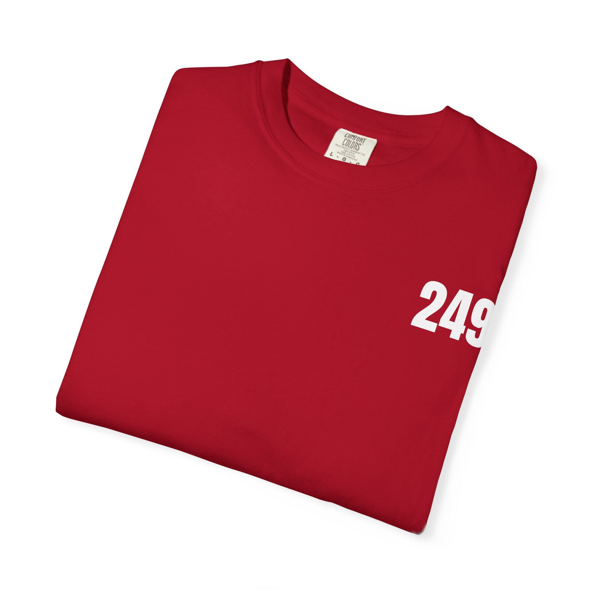 USA 249 Year Unisex Garment-Dyed T-shirt, Patriotic Tee, America Birthday Shirt, Red White Blue, Independence Day Top