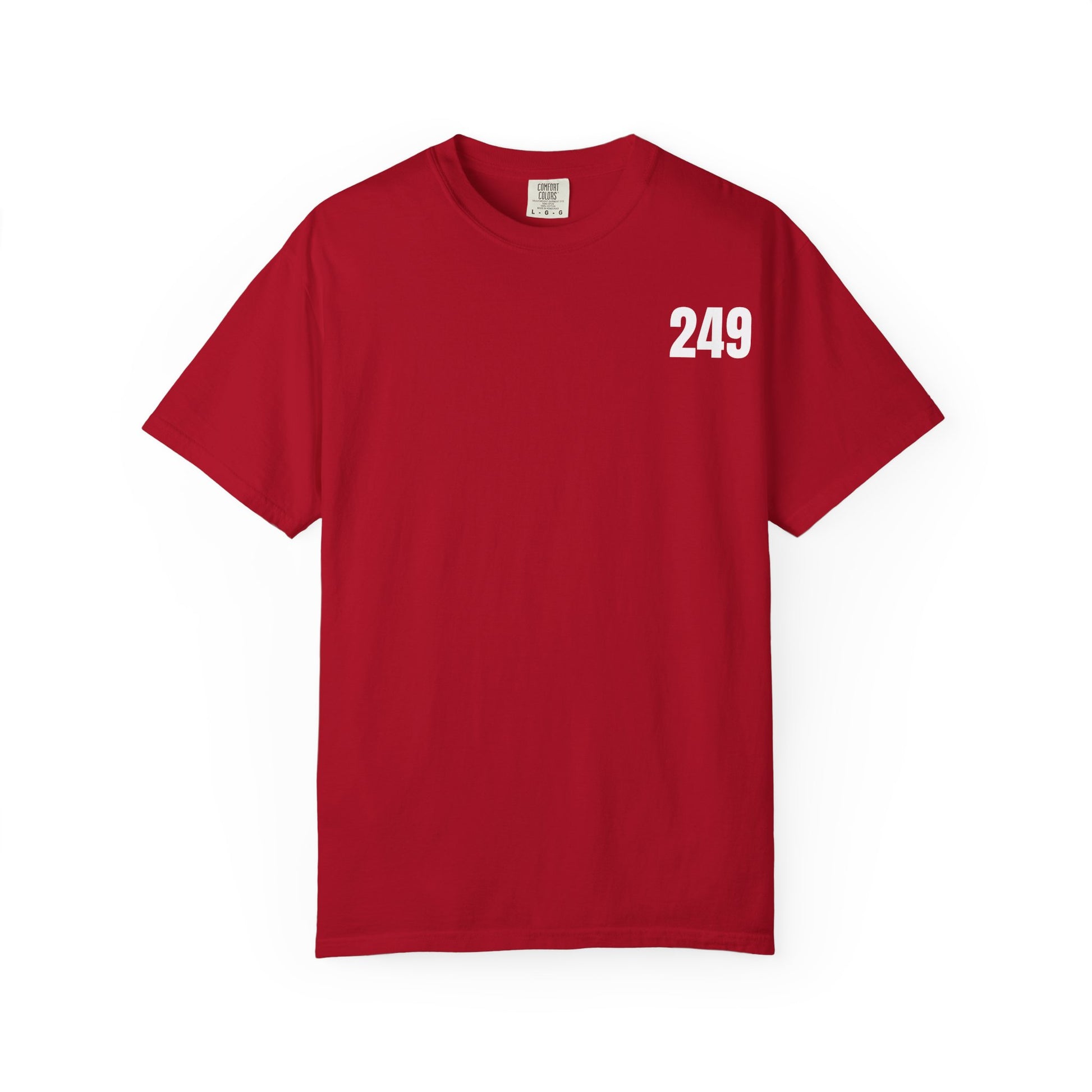 USA 249 Year Unisex Garment-Dyed T-shirt, Patriotic Tee, America Birthday Shirt, Red White Blue, Independence Day Top